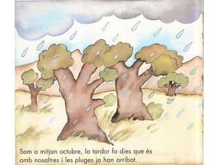 Conte els bolets s'han enfadat