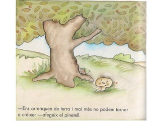 Conte els bolets s'han enfadat