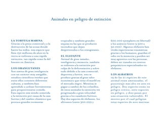 LA TORTUGA MARINA
Gracias a la pesca comercial y a la
destrucción de las zonas donde
hacen los nidos, esta especie que
lleva 150 millones de años en la
tierra se enfrenta a una rápida
extinción, tan rápida como la del
bisonte en América.
LOS ORANGUTANES
Son simios de gran inteligencia
con un carácter muy amigable,
estudios científicos revelan que
entre ellos conviven diferentes
culturas, y también han
aprendido a utilizar herramientas
para proporcionarse comida.
Esta especie está siendo sometida
a la extinción por causa de la caza
furtiva y del cambio climático que
provoca grandes tormentas
tropicales y también grandes
sequías en las que se producen
incendios que dejan
desprevenidos a los orangutanes.
EL ELEFANTE
Animal de gran tamaño,
inteligencia y memoria, también
se enfrenta a la extinción por
culpa de la deforestación y sobre
todo debido a la caza comercial,
deportiva y furtiva, esto se
produce gracias al gran valor
económico que tiene el marfil en
el mercado negro. Mientras se
pague a cambio de los colmillos,
de estos animales la extinción irá
progresando a gran velocidad
gracias a los cazadores furtivos.
Hay dos especies de elefantes, los
africanos (entre 300.000 y
600.000 ejemplares en libertad)
y los asiáticos (entre 3.500 a
50.000). Algunos elefantes han
vivido experiencias traumáticas
gracias a los humanos, guardan el
odio en la memoria y pueden ser
muy agresivos con las personas,
deben ser tratados en centros
psiquiátricos especializados en
elefantes.
LOS ALBATROS
19 de las 21 especies de este
animal están amenazadas, el
porcentaje más alto en aves en
peligro. Dos especies están en
peligro crítico, siete especies
en peligro, y diez pasan por
una situación vulnerable. El
motivo por el cual peligran
estas especies de aves marinas
Animales en peligro de extinción
 