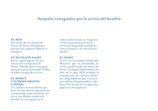 Animales extinguidos por la acción del hombre
EL MOA
Era un ave de tres metros de
altura, de Nueva-Zelanda que
gracias a los cazadores Maorís se
extinguió.
EL ÁGUILA DE HAAST
Era un águila gigante de tres
metros de envergadura de
Nueva-Zelanda que se extinguió
porque su presa principal, el Moa
se había extinguido a su vez.
EL MAMUT
Y EL RINOCERONTE
LANUDO
Un análisis reciente afirma que
hace 10.000 años la aparición de
nuevas armas como las lanzas, los
arcos y las flechas situaron al
hombre en otro grado en la
cadena alimentaria, su irrupción
en los ecosistemas provocó la
extinción de grandes mamíferos
como el mamut y el rinoceronte
lanudo.
EL DODO
Era un ave no voladora de las islas
Mauricio que se alimentaba de
cocos y podía medir un metro de
altura. La llegada del hombre a las
islas en el siglo XVII produjo la
introducción de especies invaso-
ras y depredadoras que encontra-
ron al Dodo desprevenido e inde-
fenso. En menos de un siglo estos
pájaros se extinguieron.
 