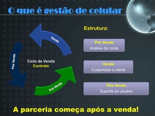 3 unidades dentro dos estado de São Paulo