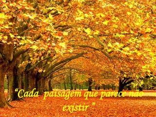 “Cada paisagem que parece não
existir ”
 