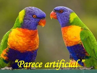 “Parece artificial ”
 