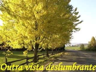 Outra vista deslumbrante
 