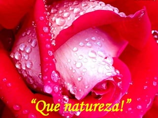 “Que natureza!”
 