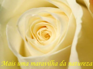 Mais uma maravilha da natureza
 