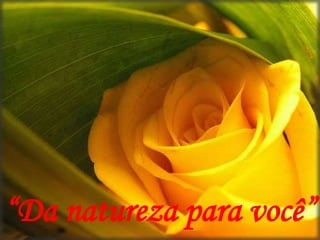 “Da natureza para você”
 