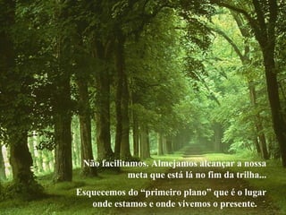 Não facilitamos. Almejamos alcançar a nossa
meta que está lá no fim da trilha...
Esquecemos do “primeiro plano” que é o lugar
onde estamos e onde vivemos o presente.
 