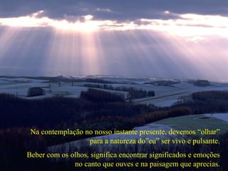 Na contemplação no nosso instante presente, devemos “olhar”
para a natureza do”eu” ser vivo e pulsante.
Beber com os olhos, significa encontrar significados e emoções
no canto que ouves e na paisagem que aprecias.
 