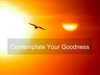 Contemplate Your Goodness
 