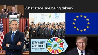 What steps are being taken?
 