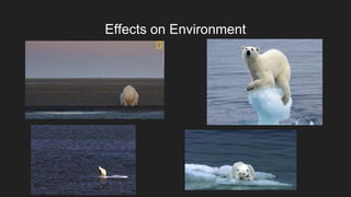 Effects on Environment
 