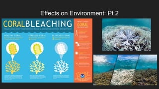 Effects on Environment: Pt 2
 
