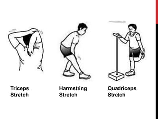 Triceps
Stretch
Harmstring
Stretch
Quadriceps
Stretch
 
