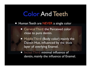Color And Teeth
• Human Teeth are NEVER a single color
• Cervical Third: the Perceived color
close to pure dentin.

• Middle Third: (Body color) mainly the
Dentin Hue, inﬂuenced by the thick
layer of overlying Enamel.

• Incisal Third: minimal inﬂuence of

dentin, mainly the inﬂuence of Enamel.

 