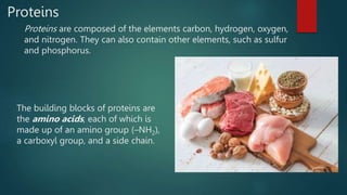 Proteins
Proteins are composed of the elements carbon, hydrogen, oxygen,
and nitrogen. They can also contain other elements, such as sulfur
and phosphorus.
The building blocks of proteins are
the amino acids, each of which is
made up of an amino group (–NH2),
a carboxyl group, and a side chain.
 