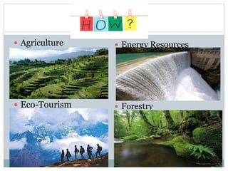  Energy Resources
 Forestry
 Agriculture
 Eco-Tourism
 