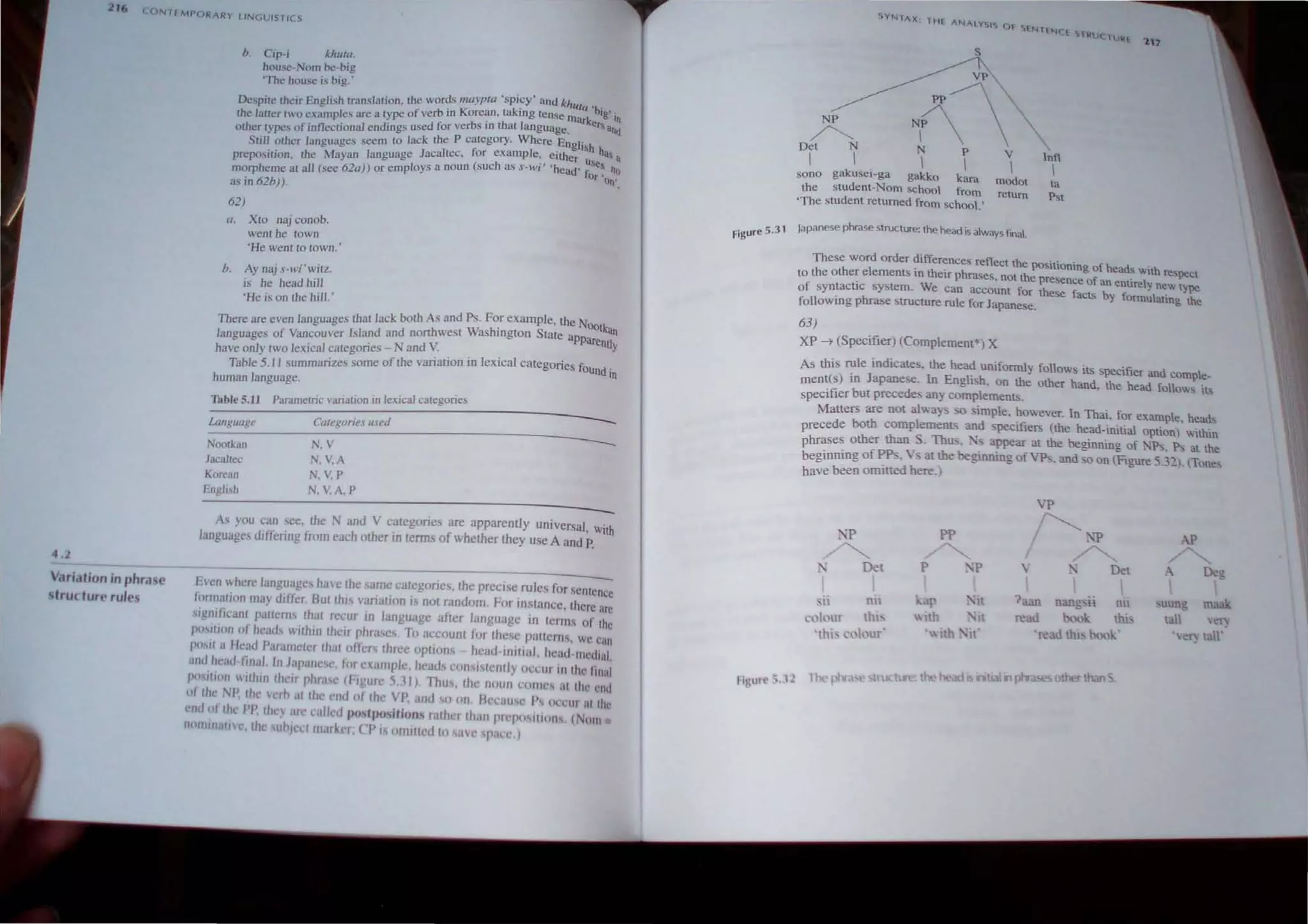 l16
(ONTfMPORARY LINGUISTICS
4.2
Vari.lfion in phrase
slruc-Iun'ru/t,s
h. Cip-i khula.
house-Nom be-big
'The house is big.'
Despite their English translation. the words maypta 'spi~y' and khllta 'bi .
the lauer IWo examples are a Iype of verb in Korean, lakmg tense Illarker~g in
other Iypes of infleclional endings used for verbs 111 thaI language. . and
Slill other languages seem 10 lack the P calegory. Where Engli~h h
preposition. the Mayan language Jacaltec. for example:, ~ither U
ses"" a
morpheme al all (see 62a)) or employs a noun (such as S-Wl head' for 'o~?
as in 62b)). ,
62)
a. XIO Jlaj conob.
went he IOwn
'He went 10 IOwn.'
b. Ay naj s-wi' wilZ.
is he head hill
'He is on the hill.'
There are even languages that lack both As and Ps. For example, the NOO
tkan
languages of Vancouver Island and northwest Washmgton State apparentl
have only two lexical categories - N and V . . . . Y
Table 5.11 summarizes some of the vanatlOn m leXIcal categones found in
human language.
TabJe S.H Parametric varialion in lexical cmegories
~===-~~------~---------------------
Language Categories used
~~~----~~-------------------------­
Nootkan N,V
Jacallec
Korean
English
~~-----------------------------------------------
N, V,A
N, V,P
N,V.A,P
As you can see, the N and V categories are apparently universal, with
language~ differing from each other jn terms of whether they use A and P.
Even where languages have the same categories, the precise rules for sentence
J(mnation may differ But this variation is not random, For lllMance, there are
signIficant patlcms that recur in language after language in terms of the
po,'Hion of head, within tht'ir phrases, To account for these pattern" we can
po"t a 1ft-ad Parwlwtel that offer' three optIon, - head lllltial head medial.
WId hC;IdlinalIn Japanesl', lor example, hearls c(m,j'tently OCCIII in the Imill
position wllhill Ihl'u phro,,' (Hgurc 5,11). rhu" the nOlln ,'Ol11,', at 11ll' end
or the' NI~ the veil, at the elld (II the VP, iInd () on Bccilusc », (Jet'1I1 III the
elld til Ihe 1'1', they lire lalled III"lpII,iliflll' rather thilll prCposltlllll', (Nom =
1I
t1
l1ll1lJtiH', tli ,uhl~l'1 lIIi1rkcr; CP I~ "mIlled In S,lve pal C)
s
~
A Nl
Det N N P v
I I I I 
sono gakusei-ga gakko kara modot
the student-Nom school from return
'The student returned from school.'
Figure 5.31 Japanese phrase structure: the head is always final.
Inl1

ta
Pst
217
These word order differences reflect the pOSitioning of hea~- 'th
I ' . ~ Wl respect
to the other e ements In thetr phrases, not the presence of an entirely new type
of syntactIc system. We can aCCOUnt for these facts by formulating the
followmg phrase structure rule for Japanese.
63)
XP ~ (Specifier) (Complement*) X
As this rule indicates. the head unifonnly follows its specifier and comple-
mentes) in Japanese. In English, on the other hand. the head fOllows its
specifier but precedes any complements.
Matters are not always so simple. however. In Thai, for example, head,
precede both complements and specifiers (the head-initial option) within
phrases other than S. Thus.;-; appear at the beginning of NP,. p, at the
beginning ofPPs. Vs at the beginrung ofVPs. and so on (Figure 5.32). (Tone,
have been omitted here.)
VP
i'.1' PP
/'~ AP
~ ~ ~
Del P • 'P V Det A neg
I  
';'11 nii p 'It 7aan nang"'H rul suung maak
..:oour thi 1th •-it read book thl tall 'eT)
'thi~ ("0 l)Ur '" Ith •"it' 'read th" book' "eT) tall'
 