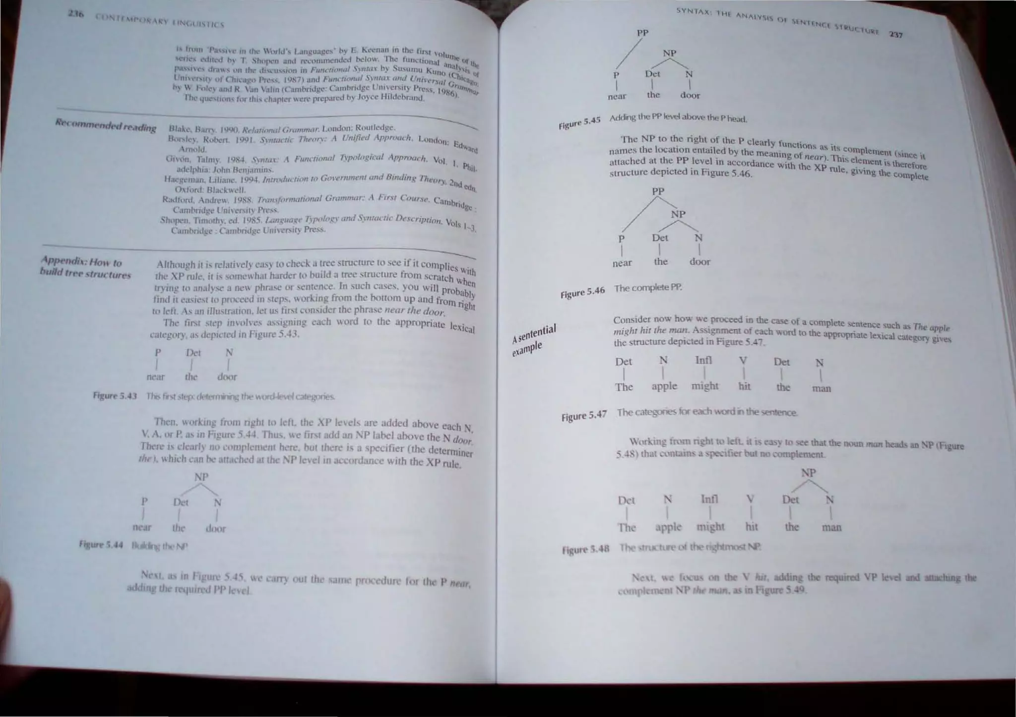 - ..
,'pt-ndi; HOIl tn
bUild II,-t- ' tru( lure,
Htl~c.lbm Il.)l)(). RdtllimlcllGrammar, London: .~ouL1edge.
R{l",C!'.. R~I'lCr1_ J9l)1. Srn/tJ("/ic TIlt'OfT: A Unijlt'd Approach. London:
nwJd
lin (In. 1:"111). 1911..J. ,II/tU: A FUlIctiollal T:rp%gical APPll1OCh, Vol.
•.h.tdphi.l: Jl)hn BenjJlIlins. . .
Ha(,.~St·nHH1. Lili;lIlt!'. Iqq..j.. /lJIm{/uclioll {(J GOI'l'rll1l1t'lIf and Bmdmg rht•or)'. 21ld edn.
(hlt.lnL Hla~k.L·". .
RJJt()ni. ~.nJrc_ 191':8. rrUI1.'ifnrmaticJIIl1! Gr(unmar:.A First COW',H', C:lll1bridg
e
.
Camhndl.!t.~ Cnh ('(SHY Pn.'~..... ' .
-"'wren, Tin;O[hy. ed. 19:Q5. Ltl~lguagt.· TypO/Ol(Y illld SYllItlCIlC Dt·S(·"'ptioll. VO
ls 1-3.
Cam~rid,ge : C'lIl1hriJgc Unl er.,H) Press.
----------------------------
4./lhough III' rd.1li,·d) eas) 10 check.1 tree ~trucrurc 10 s~e if it complies With
Ihe XP rule. il is some hal harder 10 hulld a tree slructur~ from Scratch whe
Ir.' ing «) analyse a ne ~hra,e or senl~nce: In suc~ cases. you wi ll prObab/;
fllla il <,."k.'1 10 pn>cced rn step> workrng from th~ boltom up and frOm right
10 lefr. A, ~II illuslralioll. kl u, Ilrsl conSIder the phrase lIeor Ihe door.
The ftrsl 'IL'P illo/,es assigning each word to the appropriate leXical
"aft'gol')' "., dt'plelcd in Figure 5.·13.
P
I
nt'ar
Oet
I
thL'
:>I
I
door
Th"II, I orklllg 'mm nghl to left. the XP k,·eb are added above each N
: A. or P. a, .~ figur.:- 5 44 Thus. we fir. t add an iP '~hcl above the N doo;
1hl'rt' I' "earl) no cOll1pkmcnt h re. but there" .1 ;;p<!cifier (the determiner
rll I,  hlch can he attached at th 'P lelel ill accordance with the XP rule.
'r
I' Dtl
,
liar the duor
'lgutd.44 BI ", thl. 'I'
III FI -u 4~ lIe cam Qui Ih am PC( dun' lor Ih P /I nr,
rcqutn.'d PI' I  I
pp
/~
p Det N
I I I
near the door
Adding the PP levet above the P head.
figure 5.45
The N P to the right of the P clearly functio .
I · · ns a.. lis campI .
names the ocatlon entaIled by the meaning of ) Th. emenl ("nce It
. near . 15 eem .
attached at the PP level In accordance With the XP I . . ent" therefore
structure depicted in Figure 5.46. ru e, gIVing the complete
PP
/A
p Del N
I I I
near the door
Figure 5.4
6 The complete PP.
Figure 5.47
Consider now how we.proceed in the case of a complete sentence such as The apple
/!light hit the man. AsSignment of each word to the appropriate lexical category giv","
the structure depicted in Figure - A,.
Det N Infl v Det
I I
The apple might hit the man
The categories lOr each ad 11 the 'ffitence.
·,)rl..m>: fT.)m right to eft. It I' e ~ to ....
"" that the noun man head, an.·P tFt=
5.4fl that ~'nt:lln' 'lfier UI DO mplemeDL -
I '
I
Ill'
lnll
mi'ht

hIt the man
 