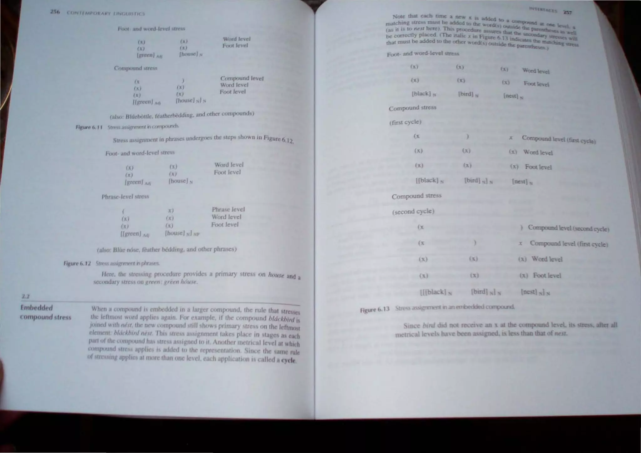 I H)' a"d ~flr I d 11
(ompound tn: J
IX
(XI
IX)
I/grecnl M,
I"
(X)
Ihnusc/"
(X)
(X)
,hllu",,' HI ~
W(,rtl le'eJ
/."", level
COlllptJUnd leveJ
Word Jc~c/
[-00' Icvc:l
(jl/",' HII,..h<,,,"'. It:••herhcddrng. ,ml o.her compolJo,h)
!;r" d ~~:'..rJl·nt In «(1frlfliiUnrh.
Srrc.. 11 "vnmell' In phr;uco undergocs .he ICPS hown In hgurc ".12
(A) (X) Word Jevel
(x) IA) (-00. level
Igrecnl,wl IhCluw:1 ~
i'hm,c level ••r ~s
( X) Phrase level
Ix) (X) WI"') level
Ix) (x) foot level
I/greenI 441 Ihou~1 "I.;p
(dl 0 Hlue (1(, c. 1c;IIht:r bCddmg. and olher phrase )
lin"'" I, lJ ~II ,d ,;nrll(ltt "Ina
Ilere. tI. tre sing procedure proVtcJc a pnmary tress 1m hOllle and a
liCL'l/Id,/ry tre 01) grel'fI Jlrel'lI h,," f',
n
'"'''''('''''11
I "'''/"/UIIII ItI' 
••
·ou: that ea..h tIme a ""'" K :oddcd
matching ~. mu t be added to the or(( ':' a ~ at ' -
(a. It i. tr, tu!J1 here) Thl prO<.edure ra. =the pare _
be c"rree Iy plau:d (The ltabc .. ID f- gtJre 6 1~ .ndkate.
~
that mu," he added It) the other word( I outside the: tIlaIcbi
1"001- and word-level re,
(Xl (X)
(Xl (X)
[black) [bud
Compound tre s
(firbl cycle)
(X
(x) (X)
(X) (X)
[[black] (budl
Compound ~tres
(second cycle)
par~,
"'ord bel
(~)
Foot Ie e
tne
ComPOUnd le.el (ftrstcyc1e
(Xl 'Word le'd
[oe t}
ex
x
Compound Ie el >ecood C":'c1e
t Compoond Ie I [mt Ie
(X) oro Ie el
Foot Ie el
lird loe 1 1
rigur< I>,n
all
 