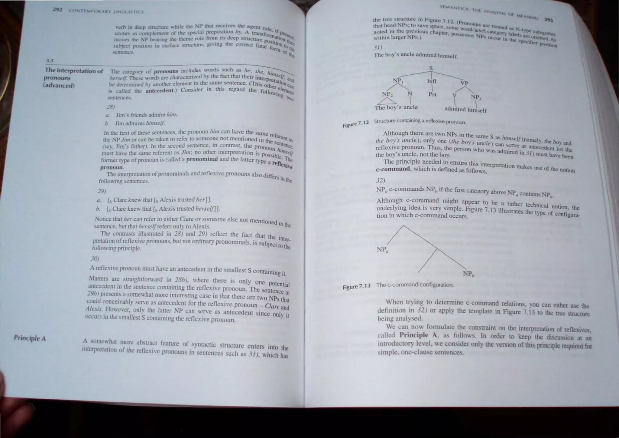 2
3.3
The interpretation of
pronouns
. eludes ords such as he. she h.
The ~~regol') or: P:-o=~;:sar.::rerized by the facr thar their inr~rp~f1Ise!f. ~
her"'''IJ· The,,, H rd. I '0 the same sentence. (This b tatjon <,.
be determined b another e emenr I _ _ Ot er eJe ""'It
(ad,anced)
Principle A
'aJI d th~ a-;'tecedenr) Consider ID th,S regard the fOllo"in "lent
I- c e ~ g t<~
~emence.s_
,:?,,"J
a. lim' friends admire him.
b. lim admires himself.
In the firsr of these senrences. the pronoun him can have the same referent
the ;-.;p Jim or can be raken to refer to someone not mentIoned 10 the sente <1.
. J. . C th r) In the second sentence. rn contrast. the pronoun h. flee
lsa) 1m s.a e . " . 'fIIs If
' h th ame referent as Jim: no other InterpretatIon I~ po."ibl ~_
must ave e s . d th I . e. "Je
former type of pronoun is called a pronomlflal an e atter type a rene"he
pronoun. fl . I
The interpretation ofpronominals and re eXlve pronouns a so diffe" in the
fo/Jowing sentences.
29)
a. [s Clare knew that [s Alexis trusted herJ].
h. [5 Clare knew that [5 Alexis trusted herself]].
Notice that her can refer to either Clare or someone else not mentioned in th
AJ . e
sentence. but that herselJrefers only to eXlS.
The contrasts illustrated in 28) and 29) reflect the fact that the int
pretation ofreflexive pronouns. but not ordinary pronominals. is SUbject to ~
following principle.
30)
A reflexive pronoun must have an antecedent in the smallest S containing it.
Malters are straightforward in 28b). where there is only one POtential
antecedent in the sentence containing the reflexive pronoun. The sentence in
29b) presents a somewhat more interesting case in that there are two NPs that
could conceivably serve as antecedent for the reflexive pronoun - Clare and
Alexis. However, only the latter NP can serve as antecedent since only it
occurs in the smallest S containing the reflexive pronoun.
A ~omewhat more abstract feature of syntactic structure enters into the
Interpretation of the reflexive pronouns in sentences such as 3/). which hal
Figure 7.12
FM"NIIC., lin ""'A)'51
(Jf M'A."',.... ~
the tree ..trUClttrc in HgUic 7.12 IfJ'n
,I NP . InC)Ih~ are Ire:, d
thUI hcuu .... to ~a'e 'pace. Urne whrd  1 a e UN-type CiIIe
noted in the prevlou.., chapter, phSses u; ~v~!I. C"leghry lahel are: flnlU'(1II1eI.
""llhin larger NPs.) )CeUf In the Pt'clfier ~ A.
31) ...."."Mlft
The boy's uncle admired him,elf
s
~---
NPI Inn VP
~  ~
NP, N Pst V NP
.LS.   '
The boy's uncle admired himself
Structure containing a reflexive pronoun.
Although there are IWO NPs in the same S as himsel'f( I
' I) I ( h name ~. Ihe hoy and
lire bov s unc e , on y one t e boy:, uncle) can serve .< ant d f
.- Th h ~ eee ent or the
refleXIve pronoun. us. I e per~on Who was admired in 31) mUll h-
the bOY'S uncle, nOllhe boy. ave been
The principle needed to ensure this interpretation make' U· f h .
• • > seo I en()llOn
c-command. which IS defined as follows.
32)
NP c-commands NPb if the flIst category above NP contains NP
a /l h'
AJthough c-co~and might apl,lCar to be a rather technical notion. the
underlying tdea IS very Simple. FIgure 7.13 illustrates the type of confIgura_
tion in which c-command OCcurs.
Figure 7.1 3 The c-command configuration.
When trying to determine c-comrnand relations. you can either use the
definition in 32) or apply the template in Figure 7.13 to the tree Structure
heing analysed.
We .:an nO formulate the constraint on the interpretation of reflexive.
called Principle A. as follows. In order to keep the discussion at an
introductor, level. we con ider only the version of this principle required for
simple. one-clause sentences.
 