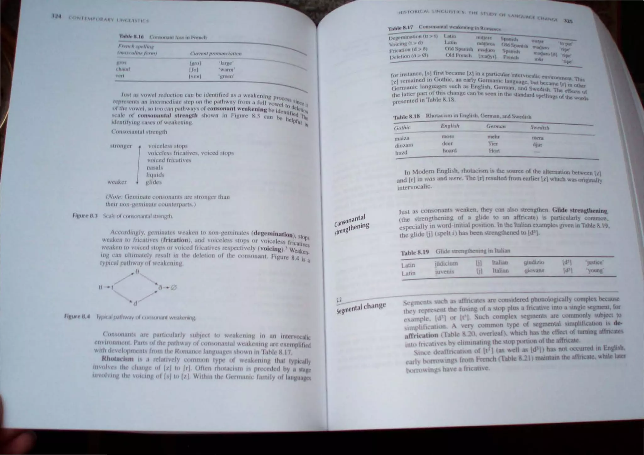 I I
h'hh H U,
",,,,1"1,,111111(
IlIlIlff "/,,,, /..,,,,1 ( 1I11,'ttll""""'" 1(1/111"
Ipml
Ir..1
Iv, .,
' I.tt!:,·
' WilfUl '
~
",.., II'" vowel lC'd"dlOt1 "UII 111" ,dcn,Jlll'd a" iI Wl·jl~.,;nllip PIII(,'
l,plC' " /11  1111 111If"llIlI"d'Oili' ~It·p on '''t' PHII!wuy frOIl1" ,.dl VIIWt,! ,,','" "hI"",
pI IIIC' vPwc-J, ">" "'04 oIl1l'il/hwuy., 01 con~t'tJnunt w("Hk..'niut. ht, j I 111'1,'1'1
I
,., I crill' '/.
('.1' III ('uu~(UUIl1fJlJ kln'f1u,,. ..hoWII III "'J.!W(' Ii. l LMI I, It"l It
u/,'nl"ywjl (il"'(· ... 01 Wt'JJkt"'lillV It 1"'lpllil ~
( '''Il ~mil''I','' "ftc'III""
 'HHli'C' 1vW(,("/l",., :0.101'
VOl( (,.'k, InCilll ye,",. YOKed ~topl
YOHt'd Incill;v,-',
".",11,
1"1",,1
w" ••~.l" ' IlI"II',
(No/I', (i"IIIJ1Ii1fC u",.,Olli llll s life ~ltollgcr th,m
,"ell lHHI 1" IJlllljlh~ COIIJlft:fJ,lltl.)
I '~I"'·'J. I (,I, t,' (("I'>lIntnl,.J ~frI·lIt:lh.
Al"C'IIIII'''l'fy, ge,,,,,,,.IC wCilkl'" I() tll'/I gl:""l1alt.., Idl:l:crniJllllion)
WC,,~.I'" ,,, I,it .,,'v,'s ((ric-alilm), and v"Kcl,' ~ s'oP' <>r V()fccit, I .' !"P
'" nC,lllve
wr••kl:u In v",n'" ~Iop, /I' VO'll·d Irr""'ve~ ICSpcl:flvcfy (vulein")  ''' .. k. ~
~ . VVell ('n
'''1; ell/I ulJ'"ldlcly 1(",,1t III Ihe (kkl,,,,, 01 Ihe (IIn~',""" 1 F'l!urc k'l .
Iyp,nd p","way 01Wl'akl'lIIn I . 1 it
~/)
II • I
."
IiI:U'~ II. I IYI',••I,..•llrwJY III I ""y,,",,1 Wf Ik fllflg
((lfl ",""I Uti' p."I,(ukJlly ~11"if'l:1 I.. wcakcfllIlll ,n ../I '1I1'·'VI K.II"
<'UH'II"'II,,,I l'.",~ ,flli' pal"way ..1l:flli ..".'fllirl WC.lktlllllll.rr,' C~, IlIp"I,r.d
WII" d vd"l'm III 1/{)1I1 II" kll,,,,.11,,,' lilII '" c
I<h,,' (j III I ,rI,ll,vely ,,,mll""1 Iy" "I w '.I~ C""1
Ulvulv tli (.hll' 011/110 II) (III" (Ir"'I' III I 1" c'd rI hy ,I la'
IIIVO/VIII' til VlI'llll' or I I IIIII1 Wllflll! IIr CJ rlllllll' I.IIII"Y 01 /'111'"
on3nt31
COtlSgt/lening
sIren
'I$,bh' k. 17 CfllI'II'lo.1,,1;, Wr.;'Ir
J,;yrOlIll;l1l1/11 (II ,....,
VPltWU. (1" d,
,"oc.llIon (tt '" '"
1)I.k1100 (f)., 0,
(io/hu hnscllft
rnl,r,:
(h;(:.r
hf)aro
(,f·,.-m/.m SWf'dlh
nlehr 11lCT.
"l1(:r (ilUr
II.."
In M,><lem r....ngll h, r~"t4C1 m I the ,urcc hr th" ahernatulO betwccn 1
and Irlln waf and ","'e, In" Ir re~uhw frhm earher 1/ which IN' nn!1,mally
Intcrvocarc
Ju~t as con.."nanls IAoeaken. they can al'>" trength"n. elide <;trenl,>th.nnl!,
(the blrength mng of a !;lidc t" an aflnca",) i~ p3ntcularly cmnm"n,
c~peclally in IAoord-mlll.11 po'>ltton. In the hahan "Jl.ample$ gtven tolahle 1.19,
the glide jJ ( pelt I ) ha been trengthened II) 1<1 1.
IlIUdlllO
gtOvane
 
