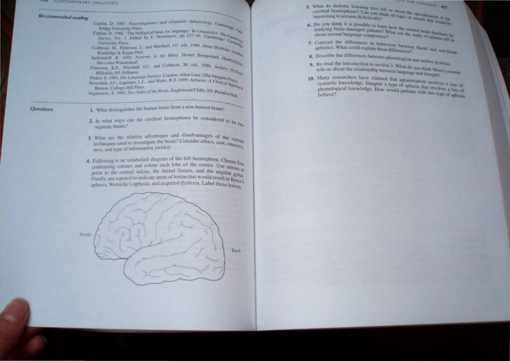 l.0 TEMPOR-R'r lINGL'ISrICS
Recommendedreading ------
Caplan. D. ,q~'" .t'II",J'i'.~UI.,'rip "".1 Lin,l;!uislic Apha.'fip/u.l('. C . ~
Questions
bridee l'nih·r.-;it Pn~,... _ . . _ 'lnlbr!(Jg
Cap,Jan~D. IllS:-;, 'Thc t"("O~h,:.l~ N~'~ for l.mguage~· In L!,"t:lIiMiCt: 1". ~. c.,
SU':'r.'Y.  (11 . .'. billCd vy F :'e"nte~er. pp. _37-5..:"1, CaOlbrilJ he C'u'ttb
L nl e......f) Pn-,.... . . ge: C'arn "iq~"
Colrhcart. f ..PJltcr;on. J., and :I..tr.'hall. J.C. eds. 1980. Dt.~t!p D,. { brtQh
RoutJedl!c ,.. Kecan Paul. . ~ e.tiu. lo..-,
Ja('kenJl"'l'f.- R 1~3. Plilunu ill tltt .Hind. Hemel HempSleiJd Ii -.~.
Han C~h:r  hear...hc.Jr. . Crtford,h'
Palle"on. "E., .fa"hall. lC • .lIlU Coftheart. lf. eds. 1986. SUrf«," ''''
Hilbdak. "1: Erlbau1l1 • ~'I
Pinker. S. 19Q... Tltt~ ~"gua,I,'c Instinct. London: Allen Lane (The PengU' e~
Ro,enbek. le.. Lap'"nle. 1•.1... and Wertz. R.T. 1989. Aphasia: A CIi"i('~~p,." l.
Boston: College-HIli Pre....:--.. . . . . APPl'oqr
Seealowirz. S. 1983. nnJ Sides (1} tlte 8mm. EnglelXxl Cliffs. NJ: Prent' h
- ~~
1. What distinguishes the human brain from a non-human b~
2. In what "a)' ('an the cerebral hemispheres be conside d
_ re t0be
separate brain," t;o
J. What are the re/arne ad antages an~ disadvantages of the . .
techniques u,ed [0 1m e,ugate the bratn. ConsIder ethics. COSt' 'lriolls
ness. and type of infomlation yielded. . Intrusive.
•1. Follow Ing " an unlabelled diagram of the left hemisphere. ChOos
('omm.-nng colours and colour each lobe of the cortex. Use arr e fOUr
p.linr to the centrJ.1 ,ulcu,. the lateral fissure. and the ano I Oll,s [0
Finally. Usc a pencri to indicate area, of lesion that would resul~'at gyrus.
apha.la. emicke', apha ia. and acquired dysle.~ia. Label the Inl BrOca's
e eSIOns.
~ront
5. What do dlchotu.: h"',cni  #,?-.r.J,,(, l
cerebral hcmi'phercs') c~g Ch le u'" 'b( . ":n
. ' '. l1n you th k .~ )U he
tntcre~llllg to present dichot' " . n 01 )'pc, r ?Ct;:.a1i/ <tlH
" H:a y ~ . () !<obI'''uh tha. .1 hI ltc.
6. Do you thmk It " pl",ihle to lea t "'''''Ill ""
sLUdytng braIn-damaged patients";'ho,"" the normal b
abOut normal language Compel . hUl Can the "tud rain fuo<.:u:m '-.
. ence'? Yof '-'?hasl s. u:y
7. Contrast the dIfferences in beh . a tell I
aphasics. What could explain the a~'~ur between fluen .
. ' sc dltferences? t and non-f
8. Descnbe the dIfferences between . lent
. phonological and
9. Re·read the tntroduction to section:> 'urfac. dY,lexia.
tells us about the relationship bet . What do you thInk M '
ween language and OC;,!; ~ account
10. Many researchers have claimed h thoughn
syntactic knowledge. Imagine a tt at agrammatism inVolve
phonological knowledge. How w~::;'dof aphasia that Involv:: I;,,' of
behave? patIents with this t a "', ()f
ype of lpha.",
 