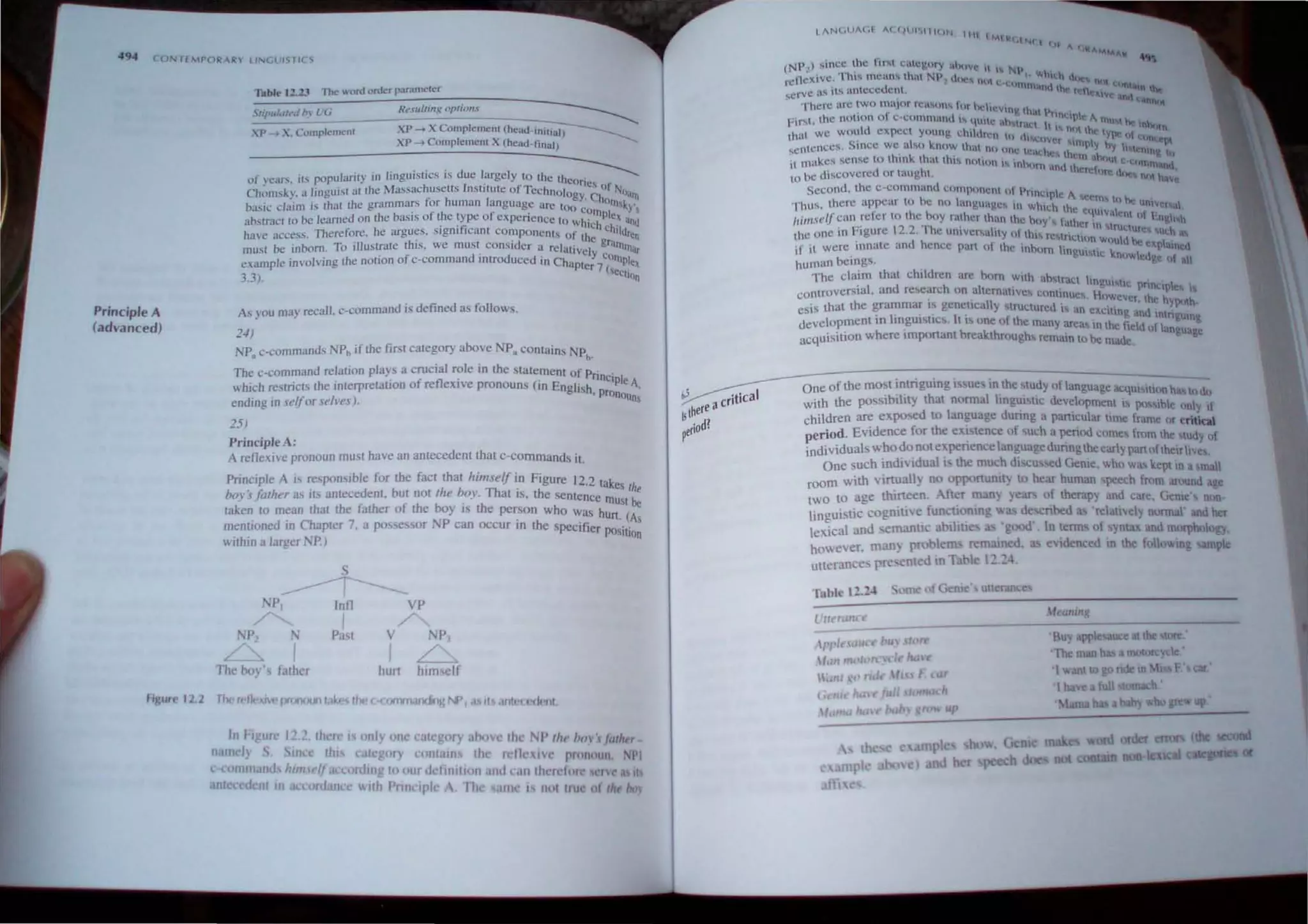 494 (ONTfMPOR-R lINLlJISlIC't
Principle A
(advanced)
Tuble J2..13 The- Hlrd order par.llllctcr
!ilipu/aff" b' l '6
XP ~ x, Complement
Rt.Ulllill~ npficJII.·
XP ~ X Complement (he<.ld-InH·i~
XP -4 Complement X (head'final)
. · · · d l I - - - - -
of year~. il:-, popularity in IIngUI"itICS. IS ue. ,arge Y,to the lheories (
Chums!..). " linguist althe Massachusetts In,tHute 01 TechnOlogy. ) NU•
Ill
basic claim is [hal Ihe grammars for human language arc 100 • Chonlky'
b . f Ih I J
" cOIllPle '
anslracl 10 be learned on [he aSls 0 e ype 0 expenence to wh', ' und
. . . T I 'eli eh I
have access. Therefore. he argues. SlgOi .can componenls M 1, •"ren
' . tho ·[·d Ie gr.
musl be inborn. To .lIustrale IS. we mus. cons. er a relalivel "'Ill'r
example involving Ihe notion of c-command Illlrotluced in Chapte;7cO~Ple~
3.3). (secl,on
As you rna) recall. c-command is defined as follows.
24)
NP. c-commands NPb if the first category above p. comains Ph.
The c-command relation plays a crucial role III the statement of p. .
. . f fl . . nnc'Ple A
which restricts the IOterpretalJon 0 re e;'tIve pronouns (10 English .
. . . pronoun
endlOg In seifor .Ie/res). S
25)
Principle A:
A rctlexive pronoun must have an antecedent lhal c-commands il.
Principle A is responsible for the fact that himself in Figure 12.2 tak
. b h b Th . es the
boy', falher as Its antecedent. Ul not I e oy. at IS, the sentence lllU be
taken 10 mean thai the father of the boy is the pe~son who was hun.S~As
menuoned m Chapter 7. a po"essor NP can occur 10 the specifier pos' .
. . n~
wlthm a larger 1'<p.)
s
------r---
PI Infl VP
/"'... I ~
L'~2 N
rhe /1(.)', l:lIhcr
Pitst V NP,
IL
hurt him<;clf
fi);ure 1~:1. Ther t1eJ(J~pronountJkcslhe~«lfTlfn.I(KJir'!;"".oI .IS.lI.II·, (·,1"11.
In figure 12.2. Ihere I only one category ahove the NP IIII' hOI 'f /1I[1t r
nantel) JIIee thl cal gory contaln~ the r ,tI, XI pronoun. PI
e cornmand him" /J accordlllg to our" finlllon nd C.1I1 tit relm' r,,· as II
ant dent 11 ceofiLm c  1111 PrincIple III • In I nOI IrU III lilt ,.
oS critiCal
I
there a
I d
1
perio .
'IN{.UA(,I A( qlJlI..,11H)N 1111
'MI~rJlt'f I
II ,.,., I ''"''''MoM,.,.,(
(NP;!) ~mcc the lir...t cutcgmy uhnve It IN) .,..
'llcxlYC, Thl" mctHl'i that NP .Oncs nl I' l h whu h tkM,:: 1( I
rt: 1 (.; Cl)nlln' 1  1 C"tlltth ._
r
ye as its antecedent, dn,  Ie rCn~IlIlC tUiIt
~ .. . . -~
There urc two major rC~'i()n tOl nche"", I. ' hi"
, f ,~ , lal Prtn~  A.
fir""t. the nollon () c-cnmmand 1 qUite an lnill t I~ '; t. 'm,  he Inborn
Ihal we would expect young th.ldr·1 III d. n,l Ihe Iy'l! ',I (lIOt
4,
cntcnccs,. SIOCC we. also k.now thul.nn one Il~~~)h"er Imply hy h IO'uno P'
h ~ h h' ,Cdt C thC'm ·,ht eo h,
't makes sense to t 10"" tall 1"0 nOlion " 1n)(. . )ut C tl'mrnanA
• d h 'Jm .lOo ,'tere{l.l 'I.
to he discoverc or taug t. Ire lJ1)C.'i nl, ha..-c
Second. the c-command c<lmponcm 01 I'nnt.pl.' .
t b  c" cern, I.. '-- .
Thu, there appear 0 e no anguagc, In whith Ihe c uw. .'" UIl"., I
/rim.I'elf can reler 10 the boy rather Ihan the hoy', I.th. < alenl III Lllyl"h
. ' 122 1·1'· . . a er In "fUelu,, h
the one In F.gure .. 1e un.versality 01 this re tr .t CK Ut ..
d h . Ie Hm would he I
'f it were innate an ence part !) the inborn lin . I. .~p alOell
I . gUi be .nowlcdue f· 1
human bemgs, ~ I> •
The claim that children arc born with ahstract 1m.
. I d h I gu"tlc IInnell'l IS
controver~.a . an researe on a Icrnallve, Continues H,
. . " I . ' )wevc" the hYl<lIh
eslS that the grammar .s gencucd y tructured I an CAciltn d
. . I· '. I ' . g an .ntngumo
development 0 mgul tiCS. t I~ one of the many areas In the ~ Id [I C
h · h I. h .e ) anguagc
acquisition were Important rea"t roughs remam to be made
One of the most intriguing is~ue inthe study of language ac;-:-on-;--tlld:,
with the posslbllll), that nonnal hngu,slIc development IS p< slhle only It
children are ex.posed to language dunng a partIcular lime [rame or uitical
period. Evidence for the e)l~'tence of such a penod .!)mes [rllm Ihe tully of
individuals who do notell.pencnce language dunng Ihe early partofthcirllv~.
One such individual I the much discu sed Genie, wh<l wa Itept m a maU
room with virtuall) DO opponuntt} to hear human speech from around age
tWO to age thirteen. fter many year<; of therapy and care, Genies non-
linguistic cognitive functi~mng ,":'US de.scnbed a 'rclaucly normal' and her
lexical and cmanllC blhu 3! goo<1. In tenn of ynw and morphol y.
hlmever, man~ p tile rem:uned. as cldenced in the f Uov.mg mple
uttcrance. pre'-Cntcd III Table 12.24
~Ie"nmg
'Buy pplesaucc at the ~
'>The man has amotor.yde .
'1"'''aII1 togo nde m!.l. f tar
I ba'c a full mach •
• a !to ~wup
 
