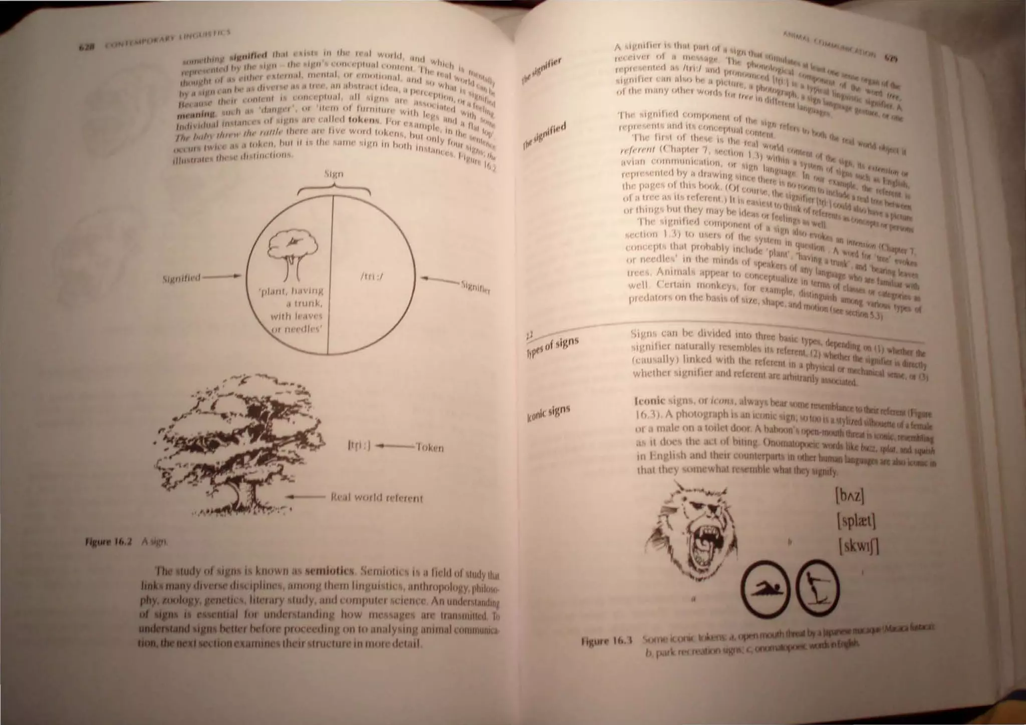 If'" til , H
'pl.lllt , It,I' In",
d 1'lIl1k,
wll"""Vl
1((",1 w",1", II'ft'II I
 