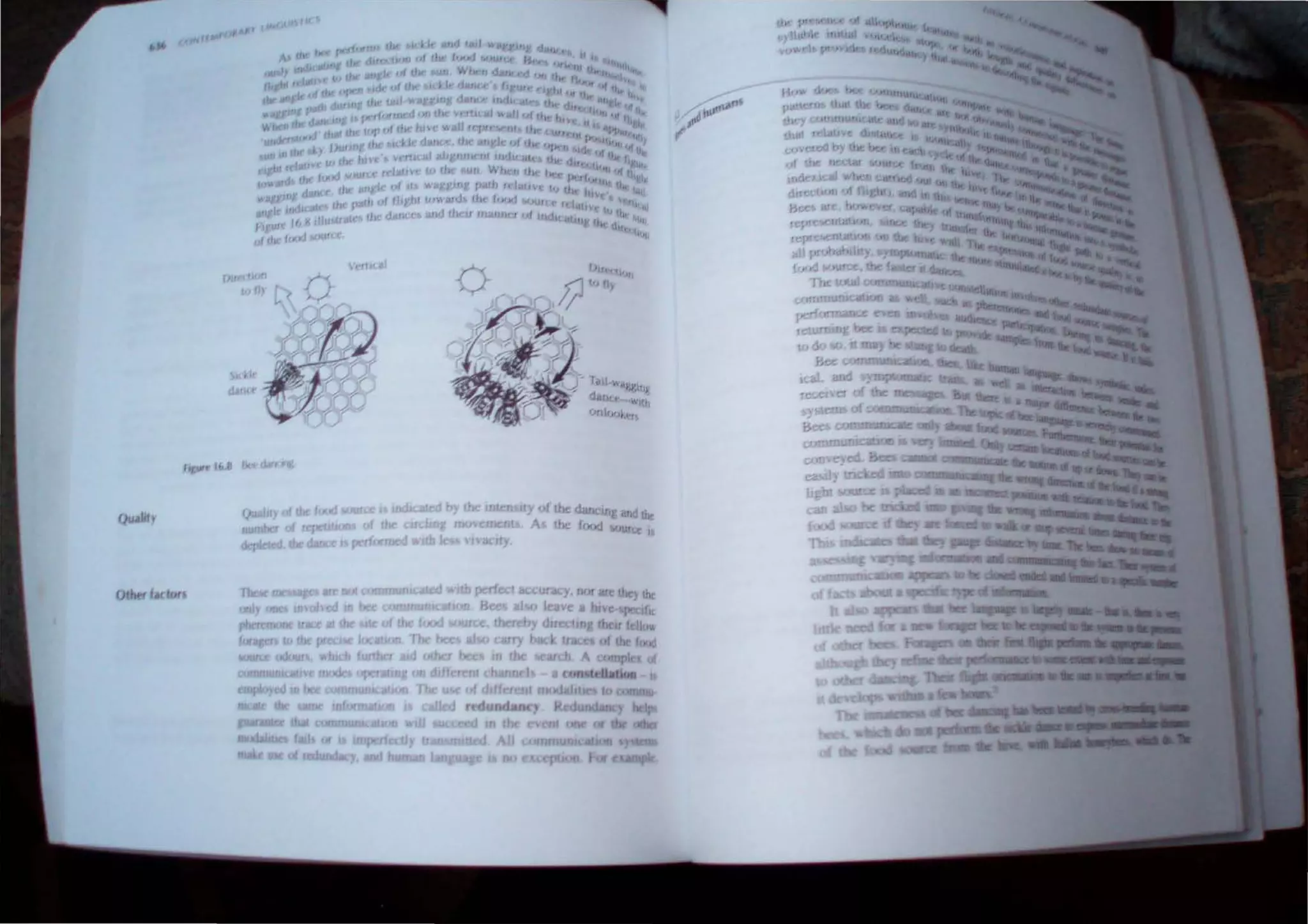 1 ly J the dan 'j; and !h~
A JC Jood til 'UJce I
o f {"lot
 