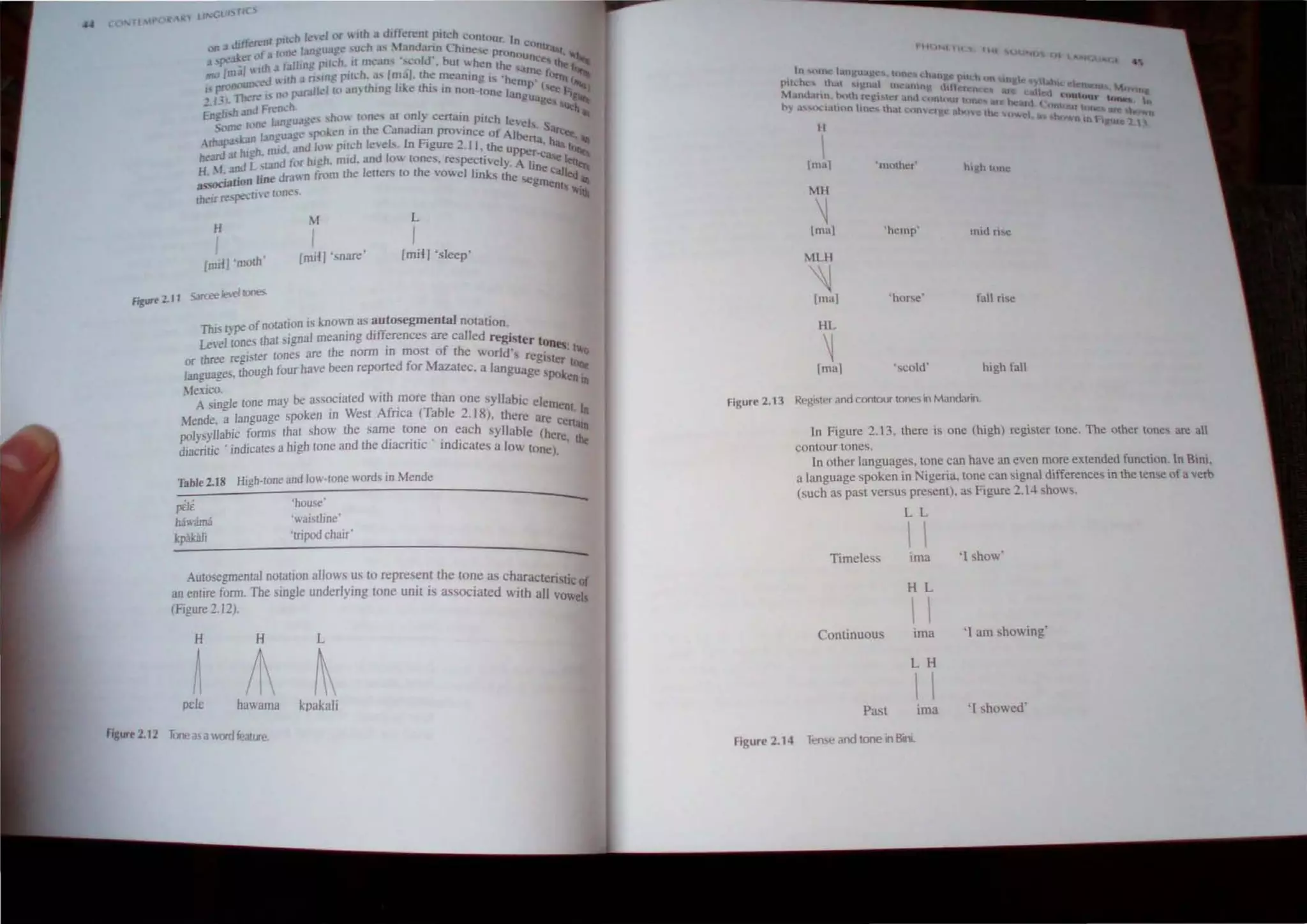 H
I
Im14] 'moth'
.'>,
I
[mil) ',nare'
L
I
[mii) 'sleep'
f~- 2. f I 5.lrcee JeK>j rones.
Tlu. pe of notation is knon as 3utosegmentaJ nOlation.
Le'~?tone" that ,ignal meaning differences are called register lone.. I
,"_ teenster IOnes are the norm 10 most of [he world', re" ",
or u..ee .... , ~I ler [n....
I
eua"e,. though four have been reported lor Mazatec. a language pok ~..<
w_ a ~~
~fe.~co. . . t h
A single lOne may be assocIated WI more than one syllahlc clern
Mende. a language spoken in West Africa (Table 2.18), [here arc ~~n
polysyllabic forms th~[ show the same t~ne .on each syllabIc (here, t~
diacritic' indicates a hIgh rone and the d,acnUc LDdlcates a low tone).
Table 2.18 High-lone and low·lone words in Mende
pili
h;iwama
.:pilifi
'house
'waistline
'tnpod chair'
-
Autosegmental notation allows ~s to repres~n.t the tone as characteri~tic of
an enure form. The smgle underlymg tone umt 15 assocIated with all VOwel
(Figure 2.12).
H H L
~ ;1 ~
pele hawama kpakali
Figur~ 2.12 Tone as a Iool fCJture.
II
I

It-un .. 1
tma) ·n'lotht."r~ tush "me
Mil
~
[mal 'hemp' mid ri'e
lLH
Imal 'horse'
HI.
~
Imal 'scold' high fall
Figure 2.13 Regist'" and contour 1011<'5 "' Mandarin.
In Figure 2.13. there is one (high) register tone. The other tones arc all
contour tones.
In other languages, tone can have an evcn rnore extended function. In Bini.
a language spoken in Nigeria. tone can "ignal differences in the len«e 0 a verb
(such as past versus present). as Figure 2.1 ~ shows.
LL
 
Timeless Ima ' show'
HL
~ 
Continuous ima . am ,howing'
L H
 
Pa t ima '1 showed'
Figure 2.14 T
..nse and tone in Bini.
 