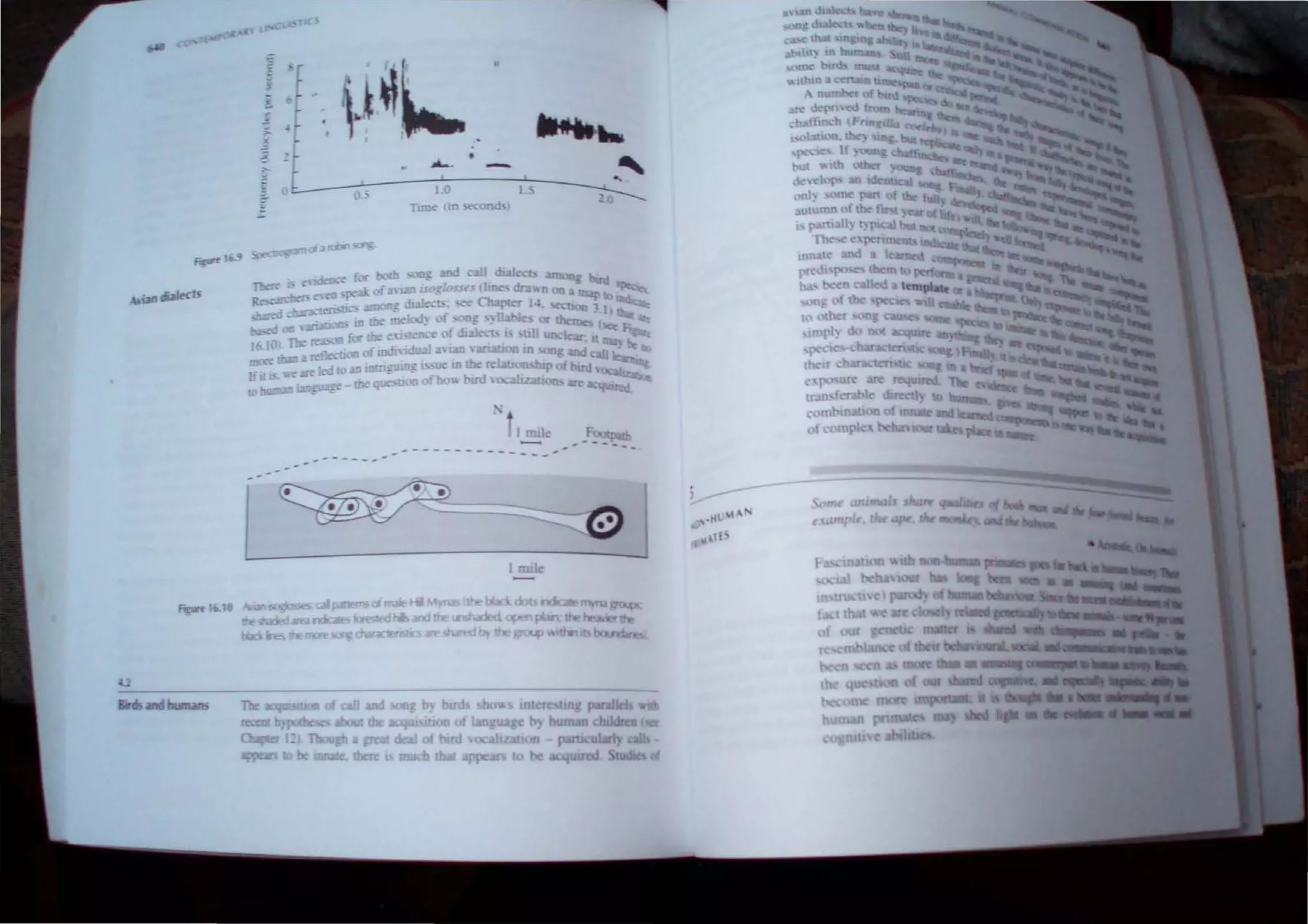 II
.....-
-
10
Tune m ~ nds
•
II mil
-,---- -
---- -- --...
y------
. l . ,,-.
Inn
 