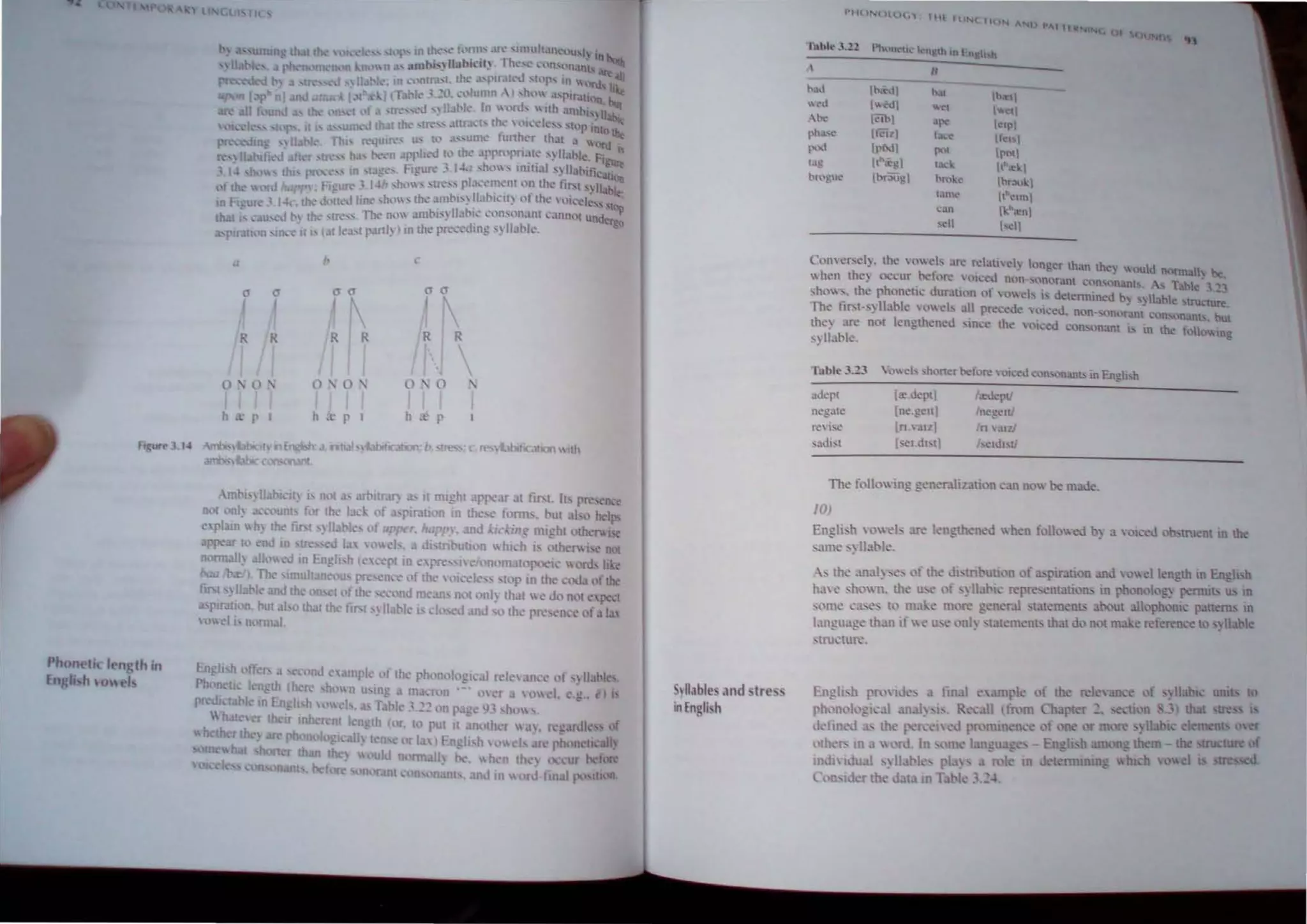 Fi UN'1.14
Phonetk length in
En Ii h  1, I.
l II
(t
R
0 • L)
h " r
cr
R
0
h
b ,
('I' ('I' ('I' cr
R
0
,~
r
nriJl " tJbiflClllOf' b :m-" ( 1"('. , l:IblIIC.1IJOll 1th
Illable.•lnd tres
in Engli'h
".ld
'''''''11 ba. 'b~ll
.~d (" dl ,,~.
"",
1><-
'''"'I .11'<' 1<"1'1
rh.,,~~ II<'il t.,·...- 11<1 I
I xl 11'0<1, x,. 1'011
I.l,g ,,'.cgl t...,l.. ,.".£1.
ttn,)guC' [0';>01'1 hwlt: Ib';>o1.1
lam...' II"cl11l1
.~.Il
I."tenl
.~II
1·e11
ConcI'ody. the "mc' "rc <'Ialivdy I"nge, than they "ollid n(}rmall~ be.
 hcn they (Cellr >elM" ,',ced non·,,'norant Cl>n.on.ml..  Table 3.::"
,h,,,, s. the phonctic durall,'n of  0 cl. is delerrmncd b. ) llabl .tru ture
The fjl'ol") liable ,,' el. all pre(:cdc  oiced. non·.onorant "'0. nant•. but
Ihc) arc nOl lengthen -d 'mcc the ,oked on,onanl b m the I 10,,"10
'y liable
Table J.l3
adept
negale
n:' ,se
s3dl~1
In ':l,ll
. '''lhtl
The following generalization can no be made
10)
Engli. h YOvel, :J.re length 'ncd  h '0 fllUo,,"ed by a olced oh,trucnt in the
..m~e:y Ibbl',
., th' anal,,,'. "f the di,tribution of a'l'lrallon and Oe1 kngth 10 En"h,b
hale ~h,'w~. the u, ,i ·)1:11-1' repre.entation, tn phon Itg~ permit II 10
,,)Ill' ('~e' ,'rna' m, re gcncr.ll ,13lemenl>' hl>ut I,>phlm< I'ltem 10
I,mgudg' thJJl if  > u,' nl) ,t:llentent. that do not m ·c referen I ,) 11 ble
stn1('lUf'.
Fngli. h PfI.) d's unit. t
~ h, n,>l,'gl'J.I :In. I) i
d' ~ .l>- th' f 'l1'd 'd P
••  rd. 10 111 I
 