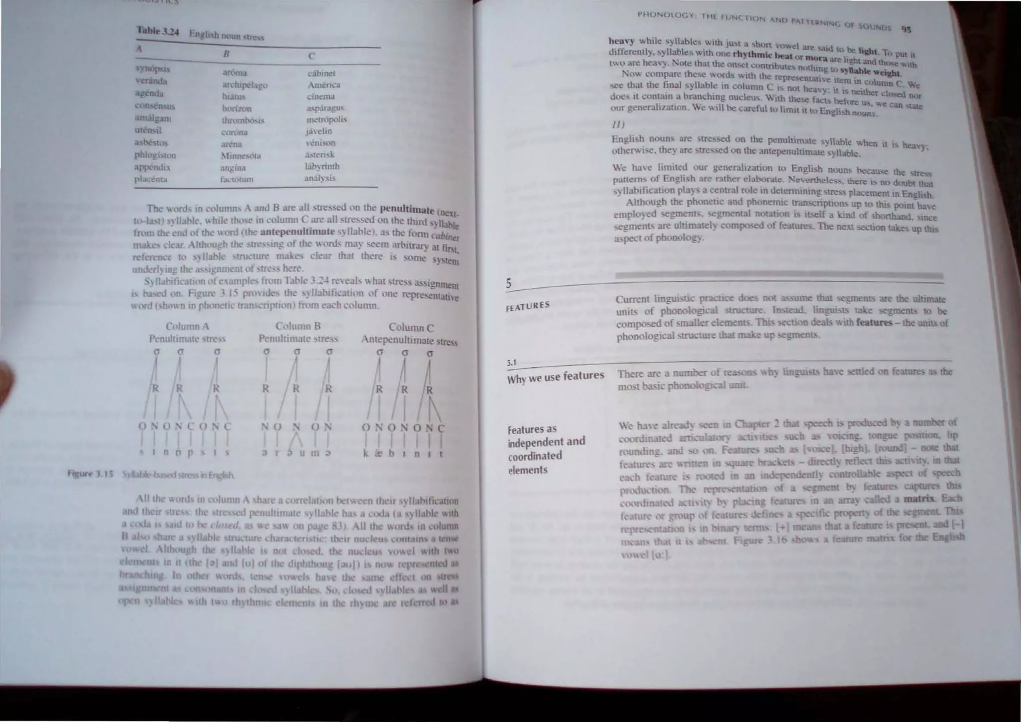 f II(
Ire,
B C
m . met
Iup<lago .mcrica
hiitu, ...In~ma
horizon 'pir3gu...
thnlmp..,hl' m~!rop<)h'
,-"Un: na 1,ielin
=0:1  Jm...on
hnne' ta a.'I~risl
""A!IOJ lal» rinth
r.ll.~t(Unl anal~"'ls
Tb  oni, In c""lumn, A nJ B are all stressed 011 th.: penultimate IDet.
to-I ,I) ,) liable. '" luk th ..e in ""Iumn .are all ,Ire,. ed on the thllu '~l1able
from th end fth·  ni (the anlepenuJtunale,~ Ilabk). 'th.: foml ('ab~1
m c, dear Although tlk: tre"ing IIf the onh rna} seem arbllr.lf) al tilL
n:-r. rene 10 ) Ibbl tru lure mak" dear that Ih.:re i, ','me s~ 'tem
underl),n!! Ih' 'Igum III of Ire here.
•  l;abltJ ,mon of amp/t.- from Tahl' 3.:';) fe' eal  hat Ire, i",i,;nnlenl
I boise<! on. Figure _.15 prm Id the ~ Ibbit•.:ation of one repre,cmalie
 'rd ( hoWll tn ph netk tron .-nptllln) from e ch column.
Column Column B Column C
Penulllm.lIc 'Ires J> nultimate 'tres, Amepenultlm;lte lre,,,
a a a a a a a a a
R R
A/j
I I
0 ' 0, o. c
I
I n o p b 1 o I I
5
-
FEATURES
5.1
Why we use features
Features as
independent and
coordinated
elements
PHONOlOCY (Hi fl N( HON 1 n "A.l'lER
INC. OF SOUNO
95
hea,) "hile s)lIllble, "Ith Ju,t a hon 'owe1 nre sa.d 10 he .
dtflerently. syllables with une rhHhmic beal or mo . li~l. 1.. I'Ultl
h s · th h ' ra nre Iil!ht and those th
lV.O dre env).l"'Olc! at t e tln"'ct cl,.)mnbut n thm  Uab . "-1.
:--;0" compare the e '" ords '" tth the represenlalt;e ~~ . k weipl
f i · I~m In column C
'ee that the . nal yllaole 0 column C I not heavy· It " nctlhet closed e
docs tt contrun a bran~hOg nucleus "',th the", tact5 before u nQr
our generahzallon. We will be careful to Iimittt to English no..,;.~e can tate
II)
English nouns are stre ,cd on the penulumale s)llable ",hen II I hcay
n!hem lse. !hey are tre"ed on the antepenultimate syllable.
We have limited our generalilation to English nouns because the tre
pallems of English are rather elaborate . 'evenbe1.". there b no doubt that
,yllaoilicalion play a central role m determining tre:>.s placement in English.
Ithough !he phonetic and phonemic transcription up to thi> pomt ha,
cmplo}ed segment. "!gmental n tation i i~1f a kind oi 'h nband, "nee
segments are ultimatel) compo-.cd of features. The next section e up
aspect of phonology.
 