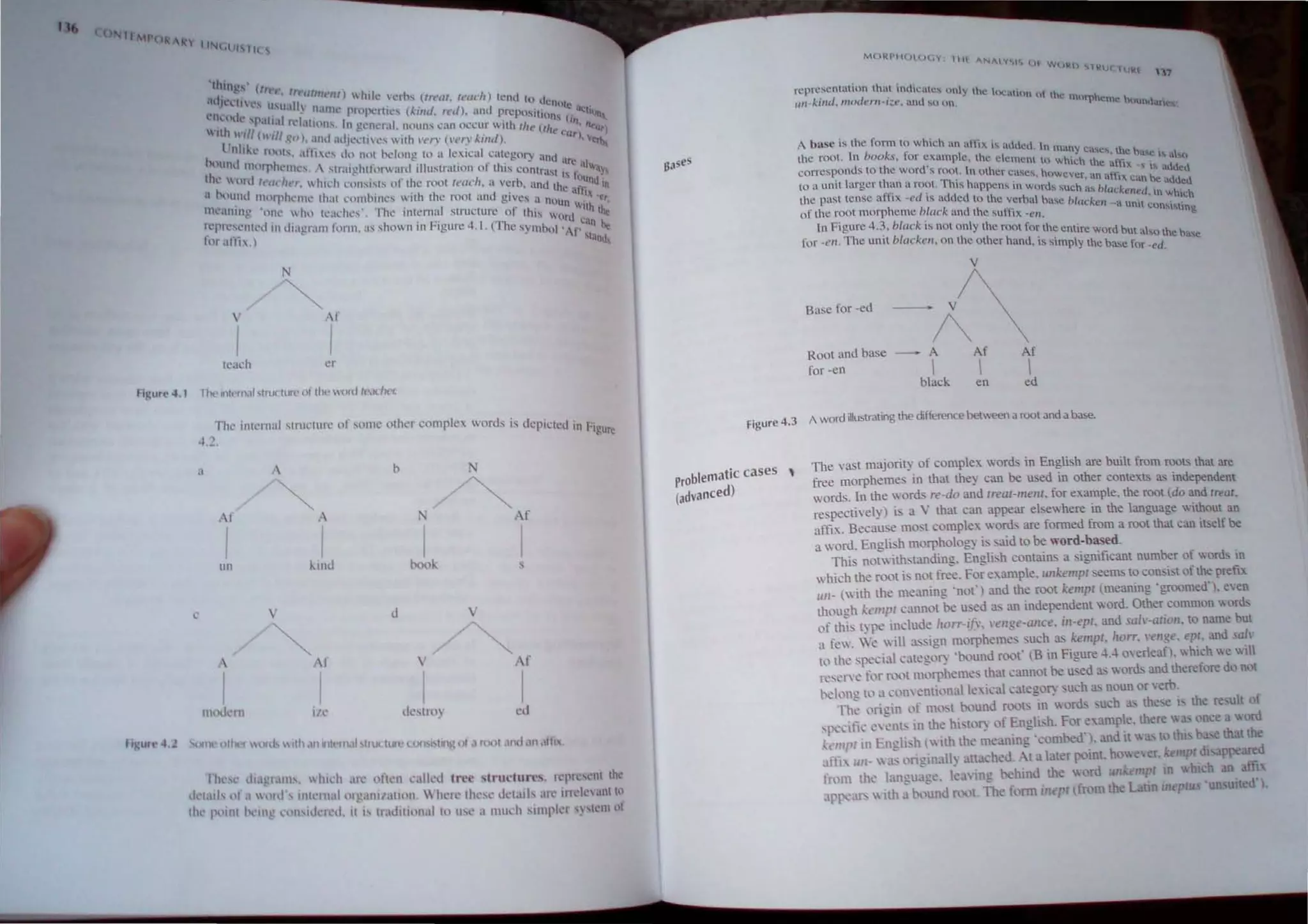 l) TI IP, l~ ~
IINl.lil' lie 
fi":UI,'4,l
'tllInK" (Ill I'
, t, 'teUm Ill) h I' '..
..dlCetles I' II 'c ,',,,, (m'm, "',K") I,'nu 10 U'
. ISll~l  n till ,_ . . t.:1l0le .
l'nl'l"I' ' I" ,l plnpt,'rltl:s (klllc/. n'd). and prcnn~"tl' altiuo
~c 'patn fI.'l t' I "- O,lS (' ,
h
. ' . H'ns. n gl'nl'ral. nOlin' can occur  ilh tl ' III, Il( .
" •..,/1 (11"/1 ' ) " II""" Or)
l
- I ';(),' ,_I,Ill! ,1djl,..·til'S wtth '{'n' ("(")" /"'inti). ur), 'er~-
In""c r "'I I-I "'i
t t .
s.•t ll" dn lH)t bl'lung to a lckul category 'U u
;(~md lllorphClllc, A slro,ighlf,'mafl.l illuslr,ltillll of [his conl~"~1 are all,,1s
1h:  ~)nl It'clt'lIl·r. Whll'h cnllsjs{s of tht! root reclt'''. a verb. and th
l
') tlllJIld III
a i>lllInd IIhlrph"lIle lhal ,',"no,nes with the roOi 'Uld gives 'I c allh '.,
. . . , nOun w' ,
111",lIl1ng 'onc  h'l I,'m,hes', The inlernal struclure of this w Ith Ih.
~l'l'l'l':.elled III diagram flmn, as sh,m n 111 Figure 0.1, I. (The S)ill1bt)II~~"can be
tl>rallt") I Ilao<1.
N
 Ar
I I
teach
Til' Intt'rIl.11 ..trlldlllt~ 01 tIll' old tt'.l<.-Ilt'f.
,The inlernal 'tn'CIIU',' of some other romp"''' words is depicled in hgu~
0.1,_.
a , h N
~
",
,1' A ~ f
I I I I
1II1 kind book
l' ' V
~
, AI' V At'
I I I I
1II,"kll1 ill' dc,troy cd
'(lent ttl'k'f  )nf" 1Ih ,,11 intl~ll'I..ll ...t'lK IlIn.l.l()fl'I,t1ng 01 .1 root .Uld ~111 .1ft"
rh, ,,' .11,1 'ralll',  htdl ,Ire llft,'n c:alkd tree ,trudurt", t,'prCst'nl lh,'
,it-t,lIt- "f .1  "1,1', in"'t n,ll "lganilalinn, Wherc (hcs,' Jct.llls ;11,' inl'l,'"ml h'
Ih,' P"1Il1 l'c'lll!! lI'n,id,'I,'d. It " lIaJill"II,III,' II'C a lIIu,'h '1lIIpkl' '~'!l'nll't
MO{I'IIO ()l.Y 1111 A.N", YM .... 01
WOIo:) " 1Rue 1lJkl:
17
rcprC,SCOIUlion lh~t indicates unly the (lC.<lhnn of th
1It1-k"ul. nrmJerll-I'lt'. and ,",0 (In. t:: ml)rphl.!mc htmndan ~
A base is the form 0 which .m affix i, added. In man cas' ~
the root. In huoks, for ex.ample. the element 1 h Y
h
. CS, the ba...e" aho
d
ow It: the affIX .
correspon ~ to the word's root. tn Other C'l~CS ho -,"i S aduc.u
, . . ~. '. wever, an aftix Ca ....~.
to a Ulllt larger than a root. ThiS happens in words !-ill 'h bl n I'C add,cd
ffi I
,. c as u~kened in h h
the past lense a IX -e< is added 10 the verbal base bl k ,'w Ie
of the root morpheme black and the suffix -ell. ac e'l -a unn com,i,ling
In Figure 4,3, black is not only the root [or the entire wo db I
'bl k r ut a '0 the ba e
for -ell, The untl (Ie 'ell, on the other hand, is simply the ba,e for -ed, '
V
.~fm,d -A~
Root and base - A
for -en 
black
Af

en
Af

ed
Figure 4.3 A word illustrating the difference between a root and a base,
problematic cases 
(advanced)
The vast majority of complex words in English are built from roots that are
free morphemes in that they can be used in other contextS as independent
words, In the word re-do and rrear-mellt, for example, the root (do and rrear.
respecti,ely) is a V that can appear elsewhere in the language without an
affix, Because most complex words are fonned from a root that can itself be
a word, English morphology is aid to be word-based.
This notwithstanding, English contains a significant number of word, in
 hich the root i-not free, For example, tlllkempr seems to consist of the preftx
II/t- (;th the meaning 'no!') and the root kempr (meaning 'groomed'), e'en
though kt'lrIl'r cannot be m,ed as an independent word, Other common words
of this type include !wrr-if." 'enge-ance, i/l-epr, and sa!,-<1Iion, to name but
a few, We will a sign morphemes such as kempr, Itorr, 'e/lge, epr, and sah'
to the spe,ial catcgo~ 'bound root' (B in Figure 4A overleaf), which we will
l'?,er't' for I'lX)t morpheme' that cannot be u;;ed as words and therefore do not
>eh)ng to a concntil)nalle"ical catego~' such a, noun or verb,
Th', origin of most bound I'l)()ts in wordsuch as the'e h the re,ult 01
s{'l"tfic c'~nt, in the hi,to~ of Engbh, For example, there  a, once a liQrd
A, ""1 in Englt"h (with th> mcaning 'combed'), and it w ,to Uu' b~ e that the
am" 1/11_  a, onginalh attached, At a later point, ho ever, kempl dl!>appeared
fwm lh> langu;ge, I~a'ing behind the ord un empl 0 hich an affIX
appeJI>  th a bound rOllt, The fonn ill pI (from the Latin uleptu 'un,uited')
 