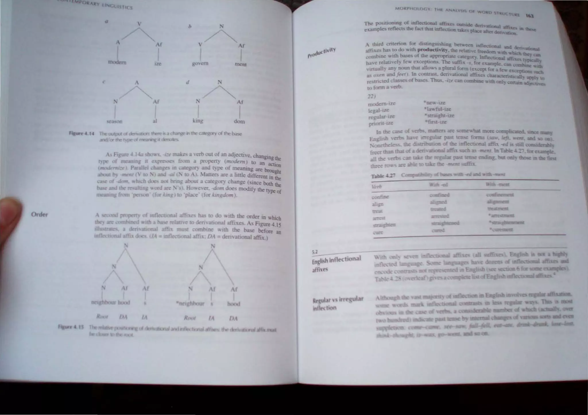 fI(
Q , b
-f '
IZ ~l'{"m
L .1
f
aI In:-
H.
~f
ducti it"
prO
U1Cnt
Af
I
<10m
OItheb.l,
r
I /)
MORPHOlOGY THE A.. "'LV
o 1
The po...itioning ()f infleclJonal affiXes OUtnde de:rwalJonal,
""ample, reflect, the f...." th:n ,nne on ta.c place aft", deri
l " •.
thud cnterion for di tmguishing between tnfl"'-"UOna
affiX" ~ to do "Ith produclh i~ . the re3ti e freedom "''Uh
combme with bases of the "ppr pnate category 1nfIeClOnal 1 t)1>lcaly
have retau el} fev. exceptions. The uffix for example can om ne
vtrtuall. all) noun that a11o... a plural form tex,cpt for a fev. ex cpt>
as QJ:t"n and fur) In cootrast. derivauonal affi ",,~
r meted c of ba! . Thu
co form D.-ert>
1~'
 