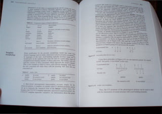 II mJI' I' (
"'"rphf.lf. r
, fir
,.,,,,~ /, t
"
hIli ,
J,
till !Q
n If tWcr
nrla
mot Ufill f
At"
pr "Ie,
tn€ /''''' I
~/mpla
~u"
Icndct ,
4~1 at ,he C'nd of II """d, eo "
/I
"'fll",~ftlllllll(
lnug/rct
I Jl.1)1I0" 1( M,lh 1I1f'" '" IIf,l . IIlIl,l,.
d/ftln
/Jallrrwa
""bier
mat ra
Irndc:t t
n /jab w"h NO '1"1 md. 1/01,1,.
mr;r handwmc
-- Consonantal er a b
CV..tler c ( ( ( (
 