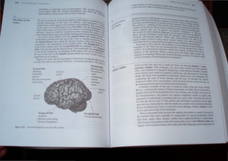 o ,' 'I , .t t.;, l' I' I.t 11 ",
"n-'''''4 iii tt' tI."
( (I' It ,
11111 Iliull , III 1111,,11111111 1',111 pi ,1111111 I h 1111 I h'
Il' II 1111111. "',.111 1114 1 111 tll.d III "II ~I"II'II 11111
I I'h 01 ,"'111 IIhl ,'"11 ' I 1I"d I lillII'll I 1'1111-'1111).'1 '
.'pI'cd l
I ), "'~ "'It lilt 1 rlllt'lll
.11 lilt" hdd~
I "".d
I1(llt·
Il' ,11 PI.'I ill III l'
'(lI'l'"
IHt"'tlll'
I " ~'l'
AllglIllIl
n""
h -1II1""III 1
..1
,,·
lhilllt1l1
~ I III'"
'i II "' 
Oc·d"IIII'I..,1I'
VISII'" III"' !-S~ "II'
" III 1/1 k'l'. IN "IKIf I 1I11(,,"11t Jill <I.
 