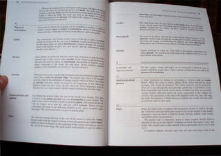 1(, ("'I[Mr,,~ RY IIN(.UI~ ", S
4.2
PI.I< l' of
drlic ul.llion
Labidl
Dental
Alveolar
Pdl,1I0-dlveoldr and
p,lIdl,11
PhlII1CU-': deS("IlplHIfI fl.'It.'IS ", tj'C' ur~a, llf 111l' Inugut,,_ I"he ti
arca AI III In.nl 1",1 t>dllllli the lip lIes Ihe Illade. The . p 1. Ihe nat
,. h h' d ' m.lln III' ..""'
longue I~ ("".tlled th(,~ hod) ••lIlu' (,.~ 10 mo.,( pan ul ,the tUIl'uc . ,I S of the
muulh " ,·al"'.1 Ule llu,"I. n", btlJ} and had 01 Ihe Ion l,h.1l be. III ••.
d Th guc C"I .'"
rctcrn.'"d (0 ,00nth u thl'" ortum c root 01 the tungue I, . I ..he) ~_
" h <I'lIIall1 ..• . '..
upper p.lr! ollhe Ihrtl.lllp aIY"'). c" In In.
I:;h POIIJl II "hlch Ih, aiN~cam can !'" m~dlflcd III ProdUCe a d'
",und I' L'.!lkd ,I place (or POIllt) of artIculatIOn, Places of.' II IcrcOI
I . . artlcu"'l
luund .lllh,· lop". wllhm Ihe ora cavlly. 111 Ihe pharynx, and al th ' IOn are
e gill""
Any ,,,),,,d milde wllh d(lSUre Ilr neflr clo,ure of lhe lIps i, said h
OIunds II1volvIn!! oolh Jrp' ure lenned bilabial; sound, invOlvil:': t~ labial
hp and upper ,leeth a,re called labiodcntals. Eng",h Ineludes lh
g
, ~ lo"c,
l ' d e hliab
heard word-lnrlJally In eeer. 7111, an mom". and the labl~" IU"
. - vuentals h·,
inillilll}' In!!r,· and 1'1/11 card
Some phones :lIe produced wilh the longue placed itgainst or n .' h
' c,III Ctc'h
Sound, mucle In Ihls way arc called dentals, If the tongue Is plae 'd he Ct,
d . I h' d ,e ·tl.e·
Ihe, lCClh. the ,soun I,S SW{ 10 e mter ental. [nlerdcnlals In En i"h ' co
, /'h d I ' d glSarCth
inllwl consonanls 0 I e wor -' !Jr.• an !.!J,ing. (Some EngllShs .. . C
produce , and: u,s denial,s: sec scelron 5.3 for morc delails.) peakcJ1!
Wilhm lhe oral cavily. 11 small ridge protrudes from jusl behtnd lh •
h Th" I d I . ' e upper fronl
reel. IS ISca Ie Ile alveolar ridge. The tongue may touch b. b
I · 'd . h d' , or c rought
IIC.ar I lIS n ge JJ1 I e pro uClron 01 certain sounds whl'ch ',r" h ' d '
, - ~ cncc escr he I
as alveolar, Alveolnr "()llnds arc heard al the beginning of Ihe fOBo~' '(
'7ngllsh w(lrd,: lop. dt'er. loaf!. jJp. {ip. and !leek. Some languages sue Ing
Spanosh. have an rlhallS mude wilh lhe longue touching the aIVC(JI;r·ridg;. as
JU",I behind Ihe alveolar ridge the roof of the mouth r's'es -h' I Th'"
k ' " arp y. IS arca
110 nU,wn as Ihe palli/o-lIlveolar urca (or alveopaJa'''1 ' b
I' h . , .... In some ooks) Th·
lIg esl pat1 III lhe mill of Ihe moulh is called Ihe palale 'd I " C
II h' ,an soun,s produced
WI J I c longue 1111 or ncar Ihis area arc called palatal~ P' lat . I I
COllson,lIIls arc heard III the followlI1g english words '} '. a 0 ,a veo .ar
'Ind ' I" Th' d .. ' . ' . , rllW, ItU' {/,'ure ("Illp
• Jl/l'1f." CWOI' '1I11i1ll1 phone 111 yes is n palalai glide "
The soli <lrea lowards Ihe ..' f II f '
Sounds maUl' wilh Ih I reat () le 1'00 01 lhe mOlllh IS called Ihe w lum
Vl'la" arl! heard 1'1 I,e '"ug/'ue lout:hlllg 01 l1;ar lhl,' P"'1l1011 arc Gtlk'd ClaJ":
I ,ng IS 1 al Ihl' hegllll ,. h
Ihe end ot Ih., "ort! h,,", 'I he I'd' I ,1.lIlg n I e. word, I'lIII ,tnt! 1(0. i111t1 ,II
, g I c le,lrd word Inliially III 11"1'1 is <'"Ik·" it
Uvulars
Pharyngeals
Glottal
5
MANNERS OF
ARTICULATION
5.1
Oral versus nasal
phones
5.2
Stops
lub io elar "IOI,:C lill" 'UI~U
..H the "'alnt.' Uml."
"tIfH-4l lie
I r.u "I
The area of the throal between the uvula and the Iii nx t
p harynx. SOllnd~ made thruugh the modifi(';'ltl(In f r
Y
t1
~ .:.Ih~n ;l~ th
, • 0 air ow m lh •
rctmctmg the tongue or c,un"ltricting Ihe phary  rc~"m hy
, nJ< are called pha .
Pharyngeals can be round on many dialec" of Arab'le b ' rynll,.a,
• u nh tn Lngh h
Sounds produced by ."ing the vocal. fold, as the pn'm'.ry an' I
. ~ leU atoN are
called glottals. The sound at the begmning of the English wonl heuI' and
!Jug IS made at the glottis. -
The lips. tongue. velum. and glottis can be positioned 0 different way' to
produce different ,ound types. These various conftgurallon~ arc called the
manners of articulation.
A basic distinction in manner of articulation is between oral and nasal
phones. When the velum IS raised. cutting off the airflow through the nasal
passages. oral sounds are produced. The velum. however. can be IOl.ered to
allow air to pass through the nasal passages. producing a sound that is na.sal,
Both consonants and vowels can be nasal. in which ca.se they are generally
voiced. (UnleS' otherwise noted. all nasals represented in this chapter are
voiced.) The consonants at the end of the English words SUI.!. SU!!!. and SU~
are na. al. For speakers of orth American English, the vowe! of words "ueh
as bqnk and lI"!rrk are also nasal,
Stops are made l.llh a complete and momentary clo,ure of airtlllw through
the vocallraet. thus pn:veming the escape of air via the mouth, In the world',
language. stop' arc found at bilabial. denial. alveolar. palatal. velar. uvular.
and glonal points of articulation.
The glottal Slop is commonl) heard III many popular British diakcb
(instead of the ltJ in the Queen', Engli'h) in wonls like burrer. ",uler and
bouit· This glottal stop i often ,pel1cd with an aposlrophl! li>l,'a. a'er and
1>" I).
In English. bilabial. alveolar, and elar oral and nasal stops occur III the
 