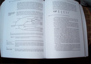 4
4
¥- ~
r:=-'----
, I
fill""
 