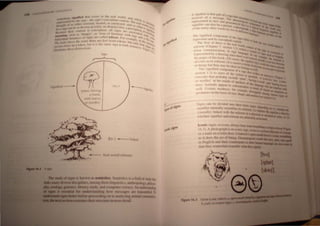 If'" til , H
'pl.lllt , It,I' In",
d 1'lIl1k,
wll"""Vl
1((",1 w",1", II'ft'II I
 