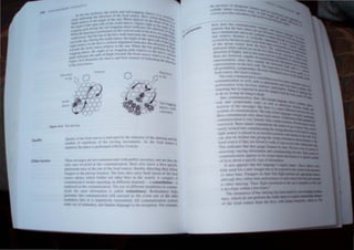 1 ly J the dan 'j; and !h~
A JC Jood til 'UJce I
o f {"lot
 