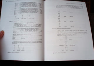 H
I
Im14] 'moth'
.'>,
I
[mil) ',nare'
L
I
[mii) 'sleep'
f~- 2. f I 5.lrcee JeK>j rones.
Tlu. pe of notation is knon as 3utosegmentaJ nOlation.
Le'~?tone" that ,ignal meaning differences are called register lone.. I
,"_ teenster IOnes are the norm 10 most of [he world', re" ",
or u..ee .... , ~I ler [n....
I
eua"e,. though four have been reported lor Mazatec. a language pok ~..<
w_ a ~~
~fe.~co. . . t h
A single lOne may be assocIated WI more than one syllahlc clern
Mende. a language spoken in West Africa (Table 2.18), [here arc ~~n
polysyllabic forms th~[ show the same t~ne .on each syllabIc (here, t~
diacritic' indicates a hIgh rone and the d,acnUc LDdlcates a low tone).
Table 2.18 High-lone and low·lone words in Mende
pili
h;iwama
.:pilifi
'house
'waistline
'tnpod chair'
-
Autosegmental notation allows ~s to repres~n.t the tone as characteri~tic of
an enure form. The smgle underlymg tone umt 15 assocIated with all VOwel
(Figure 2.12).
H H L
~ ;1 ~
pele hawama kpakali
Figur~ 2.12 Tone as a Iool fCJture.
II
I

It-un .. 1
tma) ·n'lotht."r~ tush "me
Mil
~
[mal 'hemp' mid ri'e
lLH
Imal 'horse'
HI.
~
Imal 'scold' high fall
Figure 2.13 Regist'" and contour 1011<'5 "' Mandarin.
In Figure 2.13. there is one (high) register tone. The other tones arc all
contour tones.
In other languages, tone can have an evcn rnore extended function. In Bini.
a language spoken in Nigeria. tone can "ignal differences in the len«e 0 a verb
(such as past versus present). as Figure 2.1 ~ shows.
LL
 
Timeless Ima ' show'
HL
~ 
Continuous ima . am ,howing'
L H
 
Pa t ima '1 showed'
Figure 2.14 T
..nse and tone in Bini.
 