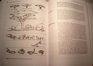 T£ POR ,,
UNlaW; fles
~--~-=----
~~
_~~~~~~-=::==::B:,a=C=k~-C~he~s~te~d~s~n:a~ke:=ea~g;'e~________~
M .
Amcan hawk eagle artlal ea91.
~ Ea91eala""
Snake alarm
........1IIII1MI1IIIriIeys speCifIC predatur
" "~"t
individuals who prOdUce th «(ll.l. v
elll, I-j' , ~1 (;
sumably to confront the intrud Igh-rank ..,
h er wh' Ing "'_
areaS where t ey hear the call f' . lIe Ie,,,. ""'Ie..~
. . " 0 hi"- ~-rank' ,."''''''''-
words, mdexes, which Stand - ...'-ranbn '11& bbl_ - ..... tall
'd ' In fOr lh . gIllltl- -':"""1:$ 1I~, JlIt-
orangutans must I entlfy and e Indivd -,., 'It'Ie --, ""ay fr
a.e each (If I Ual ani • tal" art 11 <lin
the'le Cal,;~ 'lvti
lllhtr
""'Oft act •ar.
Chimpanzees vocalize with a IIlgonlhtnt
nUlllbe
types have been reported, So r of grad.~
Ch' me of Ih ..... Call
referents, Imps typically hoot , ee alJle;u- s. A IlIan
in dense forest), HOoting is also to Ignal IOCali! to ~hc,,,, ",r.iS IIttn
, used' 'n (a no. --1I:f "'-'r.
about somethlOg, Another typical In greeling or-"'nd that ~"IC
and is given in the presence of a f vOCail'/.alion 1 k"'hench,rnp ar "'ell
has led to the claim that trans~' avourite fOOd ",..no"'n iI. rllU....e~':I~
, ,.,ISSlon of ' "",ree A. 6" .....In
plays a role 10 the acquisition of certa' '~gQ, frornone' rece.u.t>.penmc:
on tradition, See section 7.1,) tn Slgn arnongC~tnera1!ontothe Iltx~
P<mlet<;. (For 'IlOre
Especially among highly SOCialized S .
izatlOns all show a gTeat deal of van . !lecie>. non.hultan .
vocalizations fonn part of a coru.te:o
n
.There "every 1Ild~ VOCal_
including gesture, posture, gaze (eve _Ion of ~tdllndant com"",~~Ibtir
f hi h be ' - POIntJng) and the ---''''UIQIJ~t atI$
all 0 1 w, h
C
f must ,m~rpreted by other ~oc., me:~ 1011 of alfttt,
comp eXh;' 0 CO~,urucauon sy tems amen -P ,''''-'m, The cbvious
level of mental aCUvlty devoted to C0lllInu ' gtheo;e anllTlals ugg tbaa!be
,Despite the high degree,of intellige:~~~~lSquue~
arnmals demon trate, there b ve~ little eiden<:e for ~_
between wund and ~arung among~, ben more l3!b!ttary ltlalioasli,.
e'idence of recombmmg vanou sectJons of a ~!ben: 110
me 'age .'otbmg that parallel the phonemi or lIleSsage.1O fona _
tion of human lan",lla",e ha" been di ered in ~
~
:-tems of non·huma.n primate, . .
- It i poible that the la ' of paralIe v..ith human iapisIic CI i-
tion in, 'I ' I l~ related to our on may be .. III .. _ ci"
'ial :: iU
I
_~ n Th ~~ grOhuPS or family llllllitypallcidl'..
, _
g nIl. 11l1" to luvu·n envlJoonXd 1IIy lilt __ .......
J ' 1'f III 'lit f ) other mode of CQIJ!!!!!W!bnr .... _ _ _ _
llit ~dl lh'irn ,TIU d notmean.~ ..___....
o lp ) tl~abilitia~ .......
~ nunum. lion '0 I human laapIIt. 1a
m ,11eft h ml pbere devnop..af __._
hnglll li lit!) number ~ ~::=:=;
h  tt mpt I d tennine the CIW.Il•
 