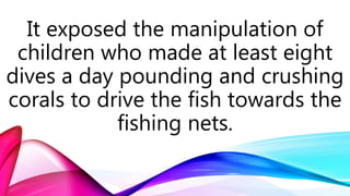 It exposed the manipulation of
children who made at least eight
dives a day pounding and crushing
corals to drive the fish towards the
fishing nets.
 