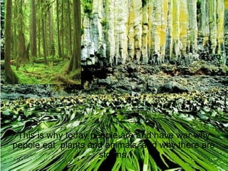This is why today people are and have war why pepole eat plants and animals, and why there are storms.