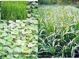 (5) Humia-tikitiki, the farther of food that grows without cultivation