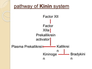 pathway of Kinin system
Factor XII
Factor
XIIa
Prekallikrein
activator
Plasma Prekallikrein Kallikrei
n
Kininoge
n
Bradykini
n
 