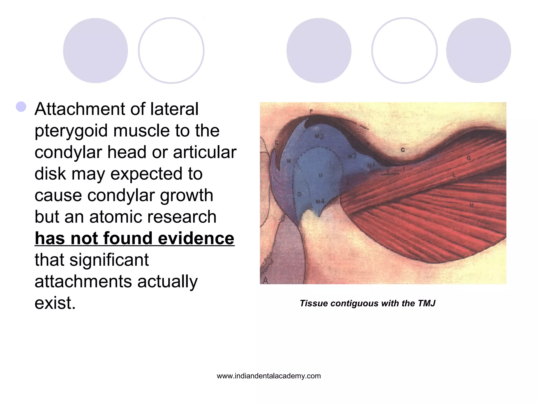 Attachment of lateral
pterygoid muscle to the
condylar head or articular
disk may expected to
cause condylar growth
but an atomic research
has not found evidence
that significant
attachments actually
exist. Tissue contiguous with the TMJ
www.indiandentalacademy.com
 