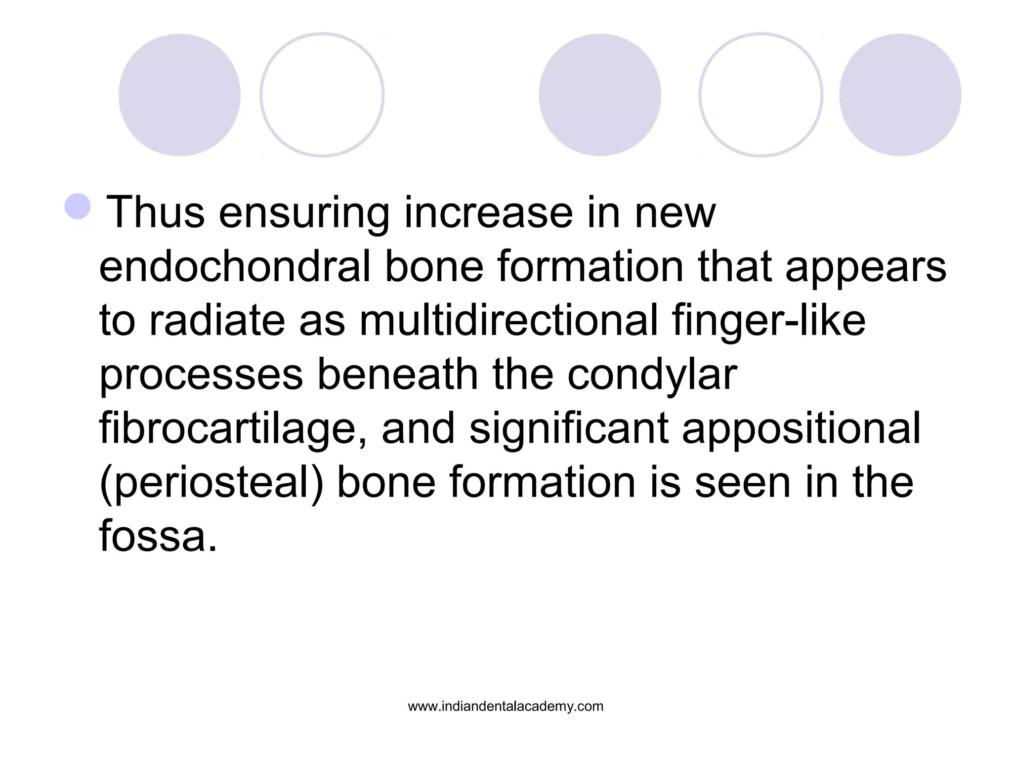 Thus ensuring increase in new
endochondral bone formation that appears
to radiate as multidirectional finger-like
processes beneath the condylar
fibrocartilage, and significant appositional
(periosteal) bone formation is seen in the
fossa.
www.indiandentalacademy.com
 
